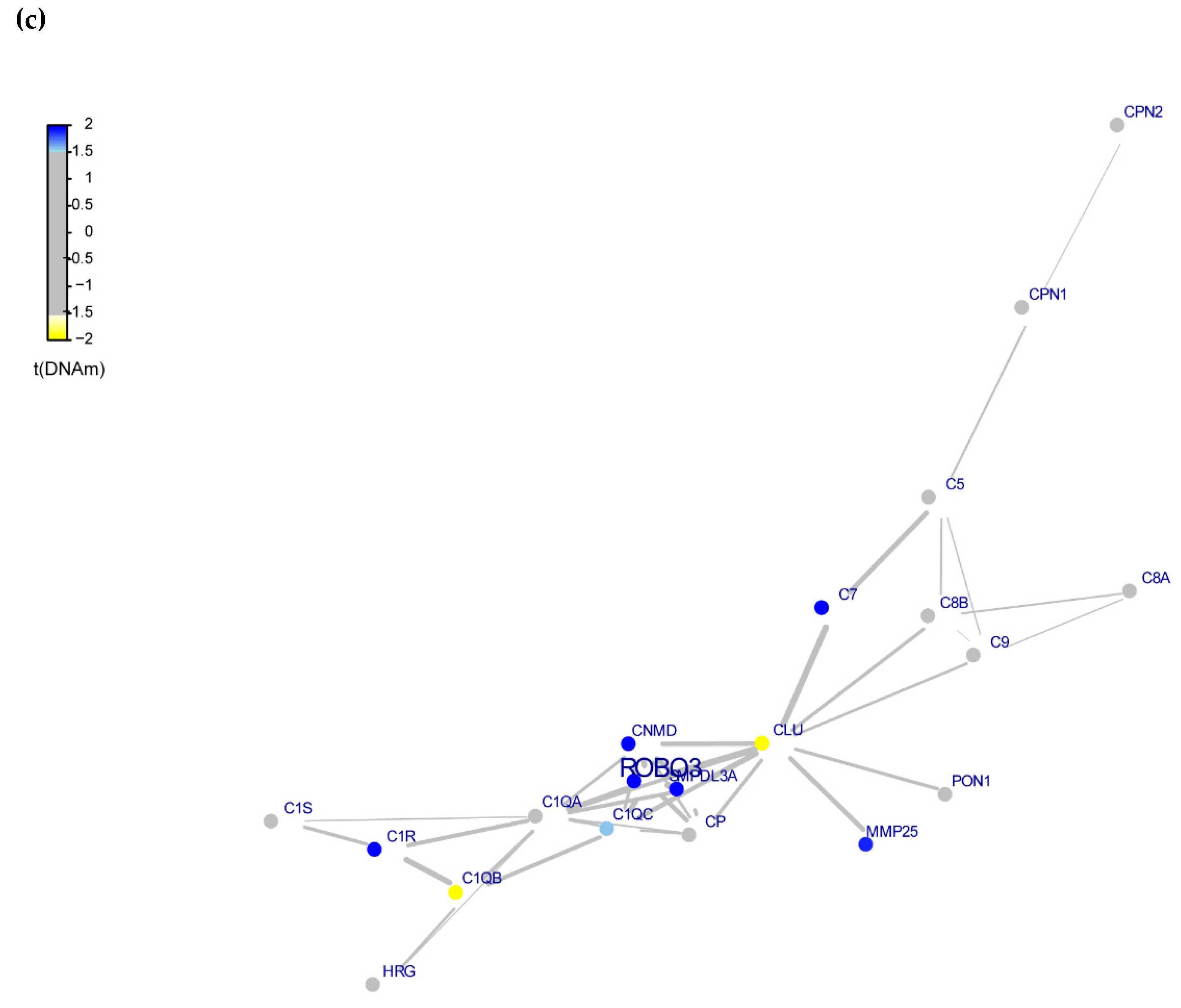 Genes 12 01433 g003b