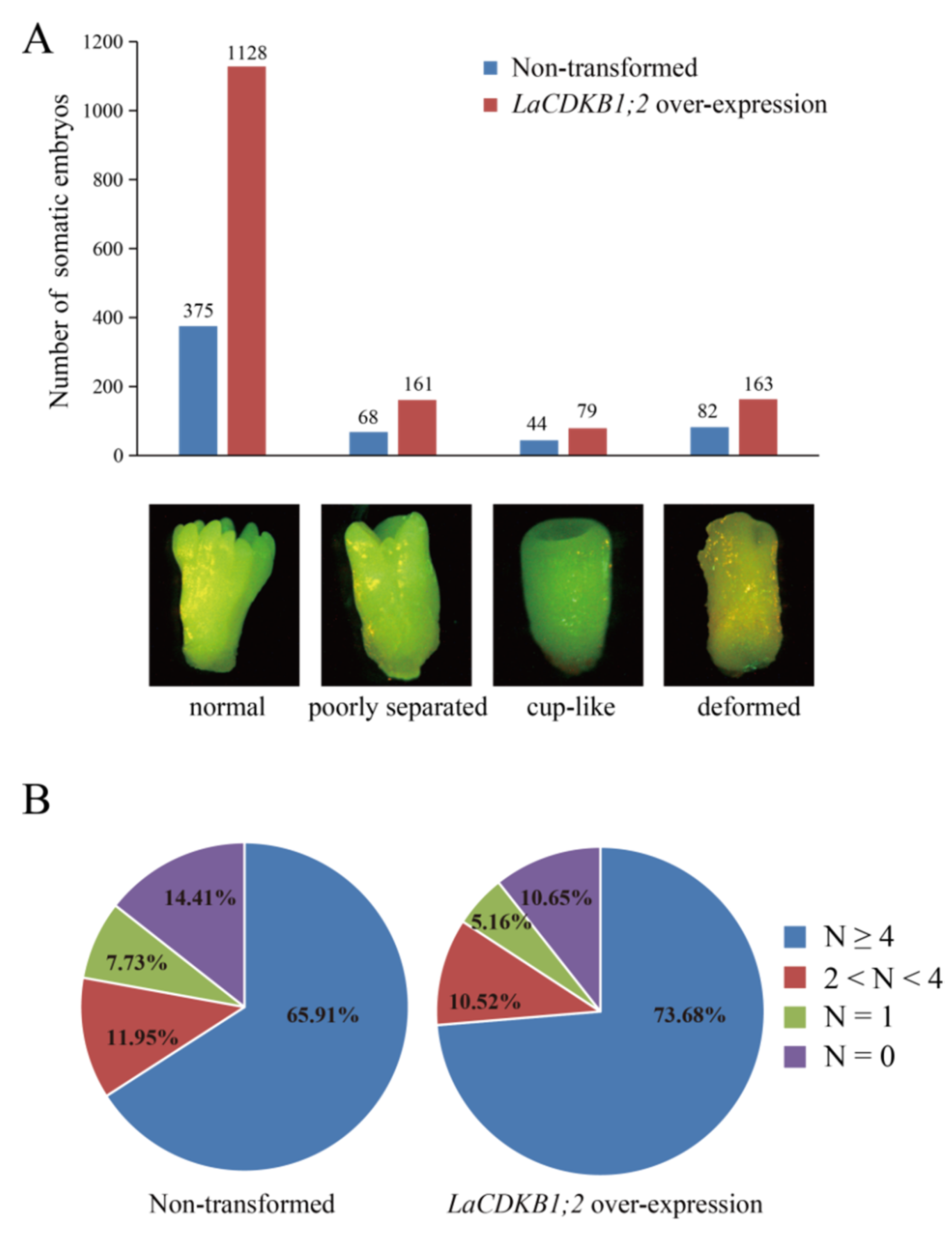 Genes 12 01435 g009