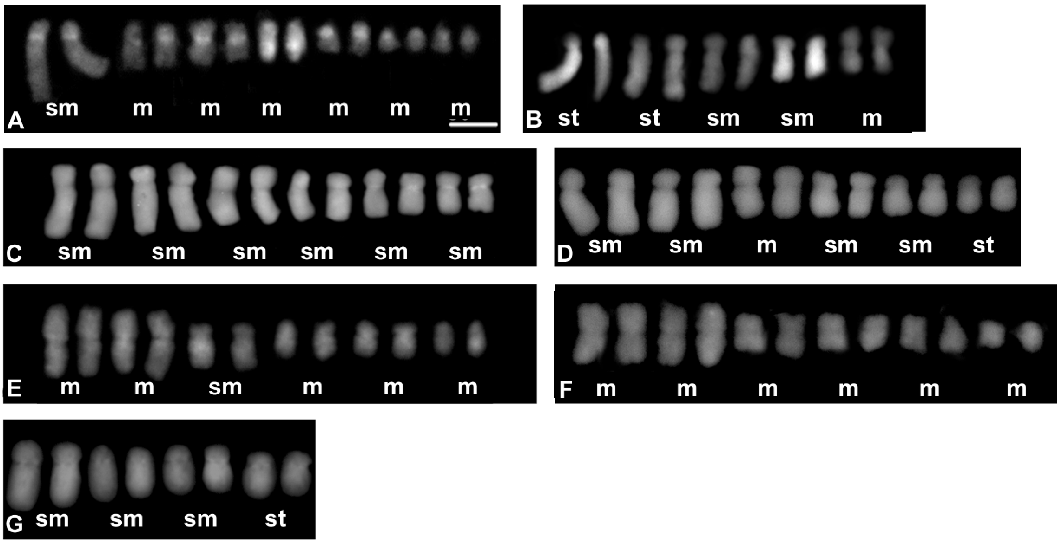 Genes 12 01436 g002 Genes 12 01436 g002