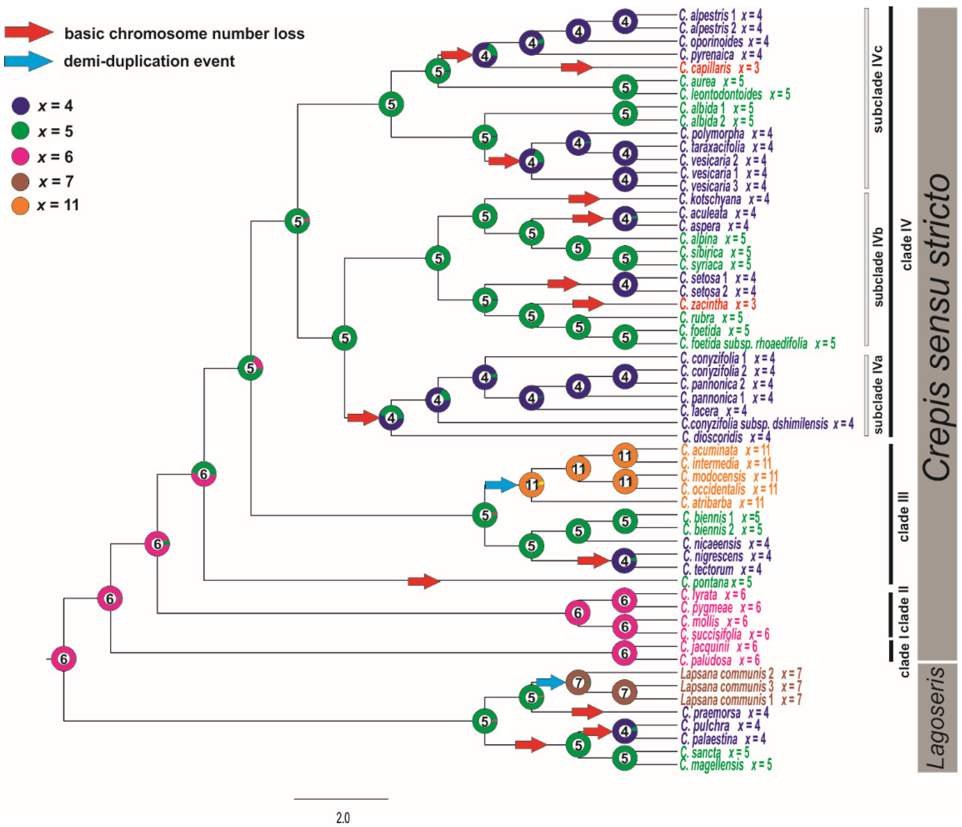 Genes 12 01436 g004 Genes 12 01436 g004