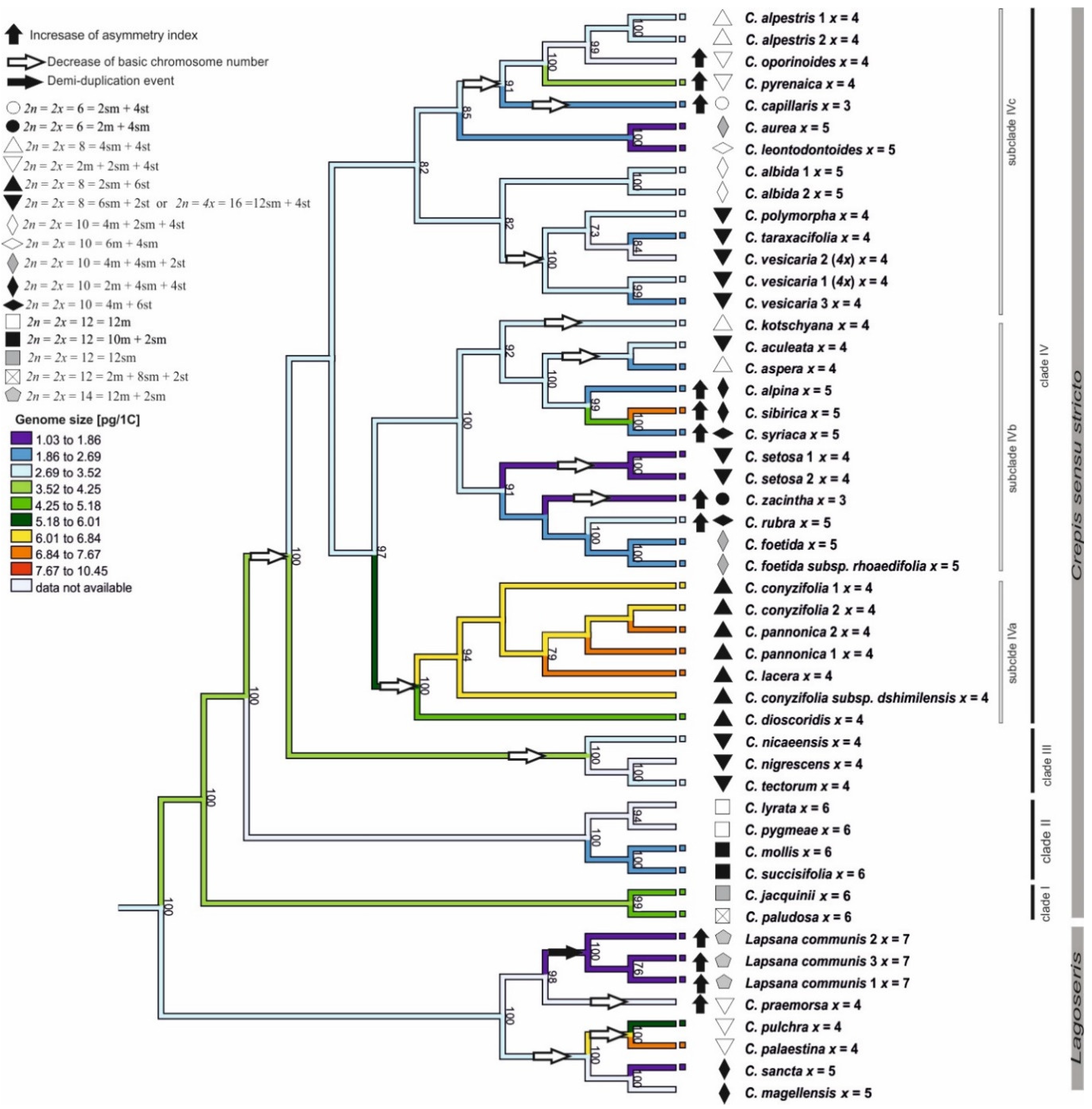 Genes 12 01436 g005 Genes 12 01436 g005