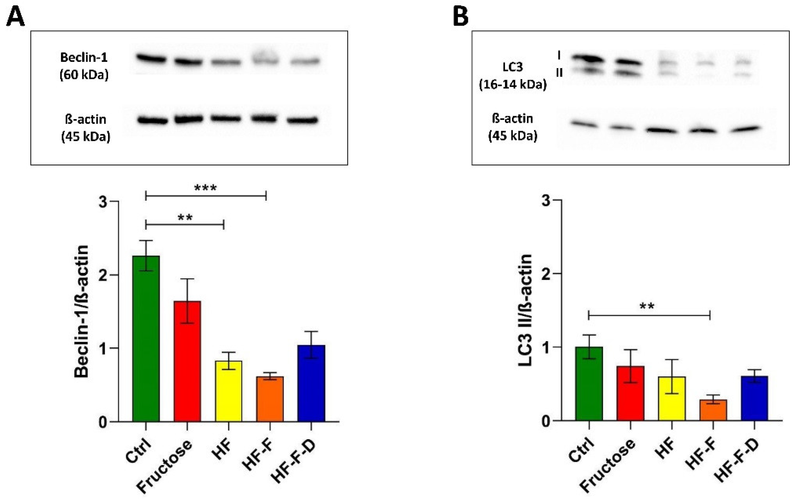 Genes 12 01439 g004 550