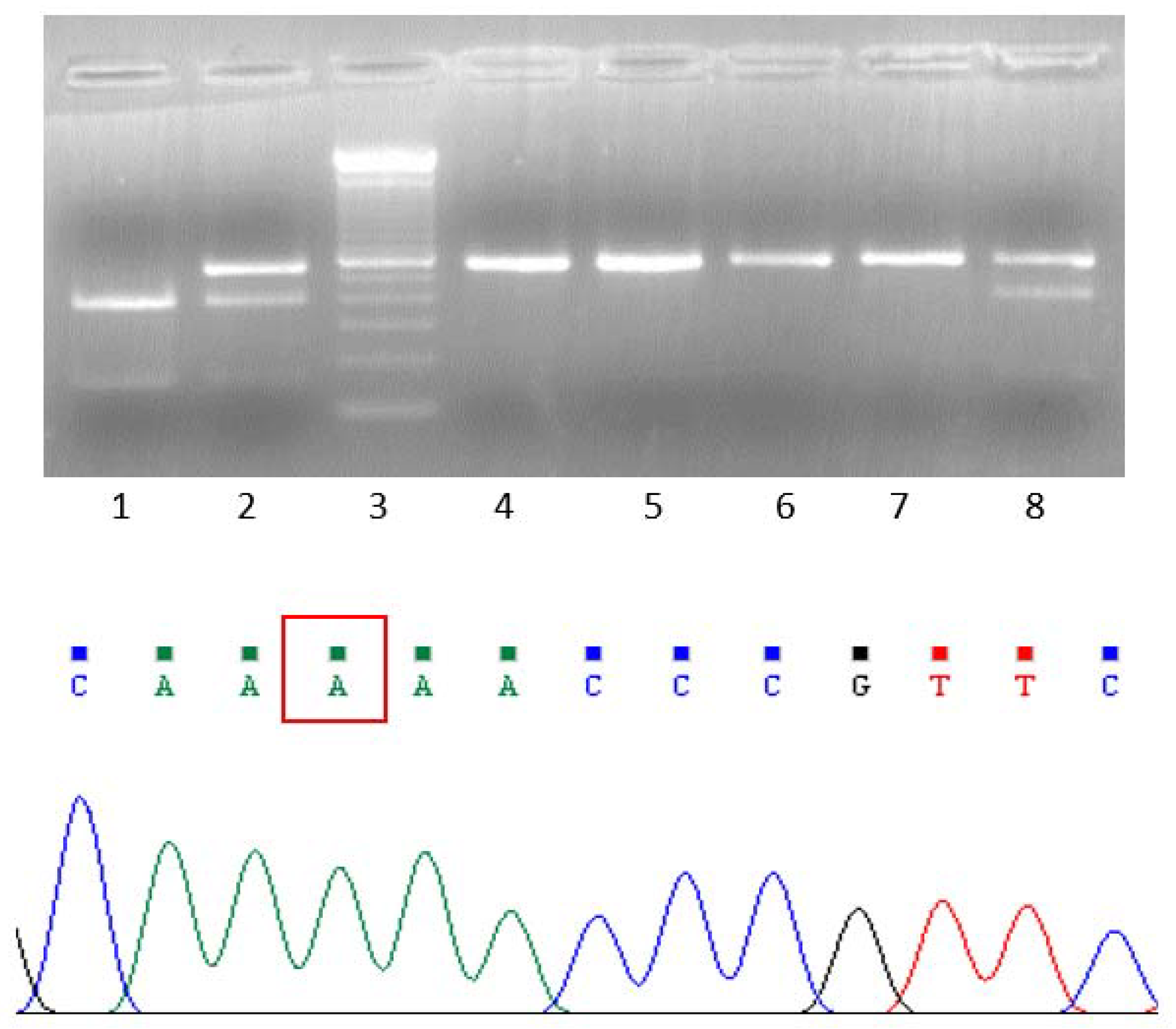 Genes 12 01440 g001 550
