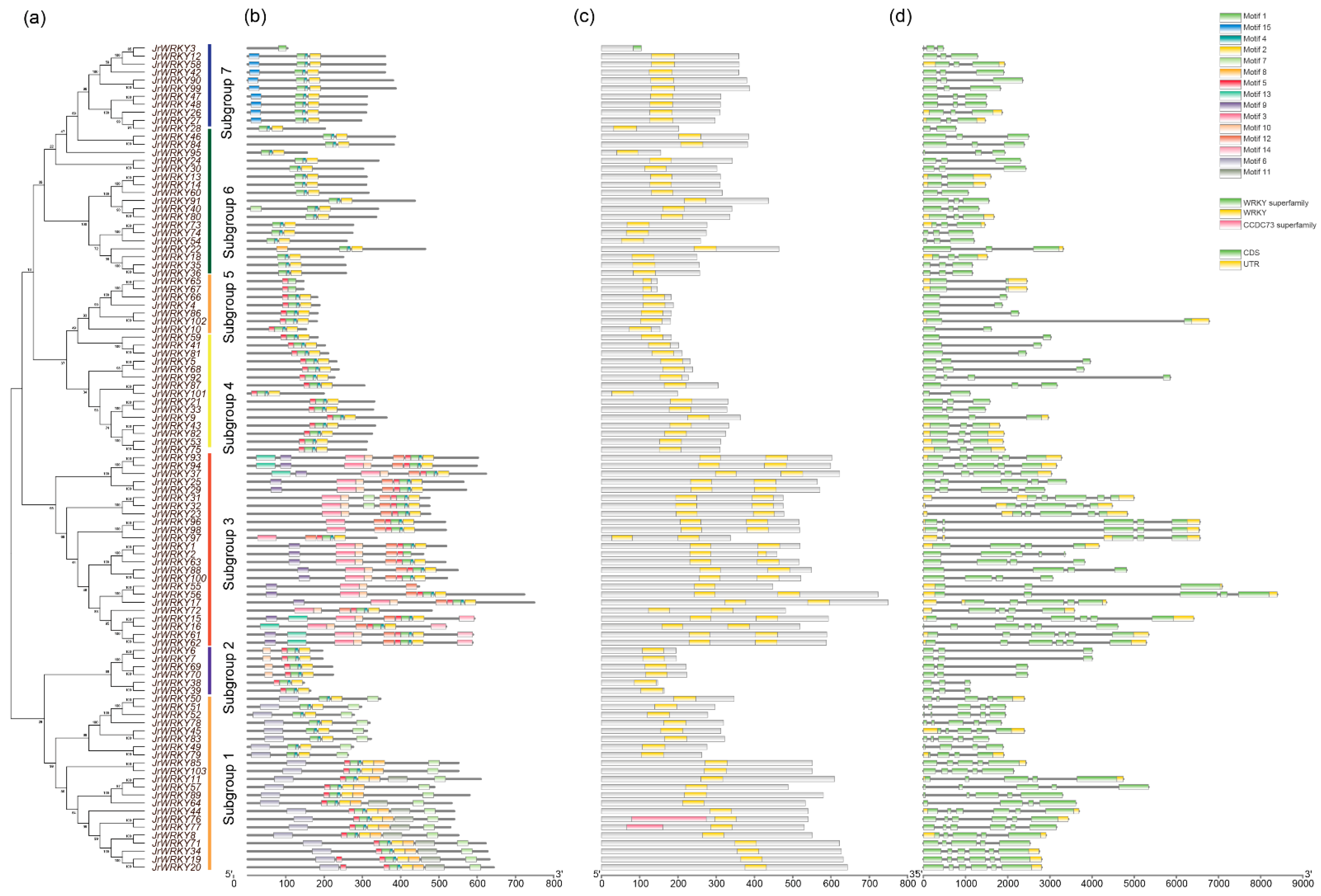 Genes 12 01444 g002 550