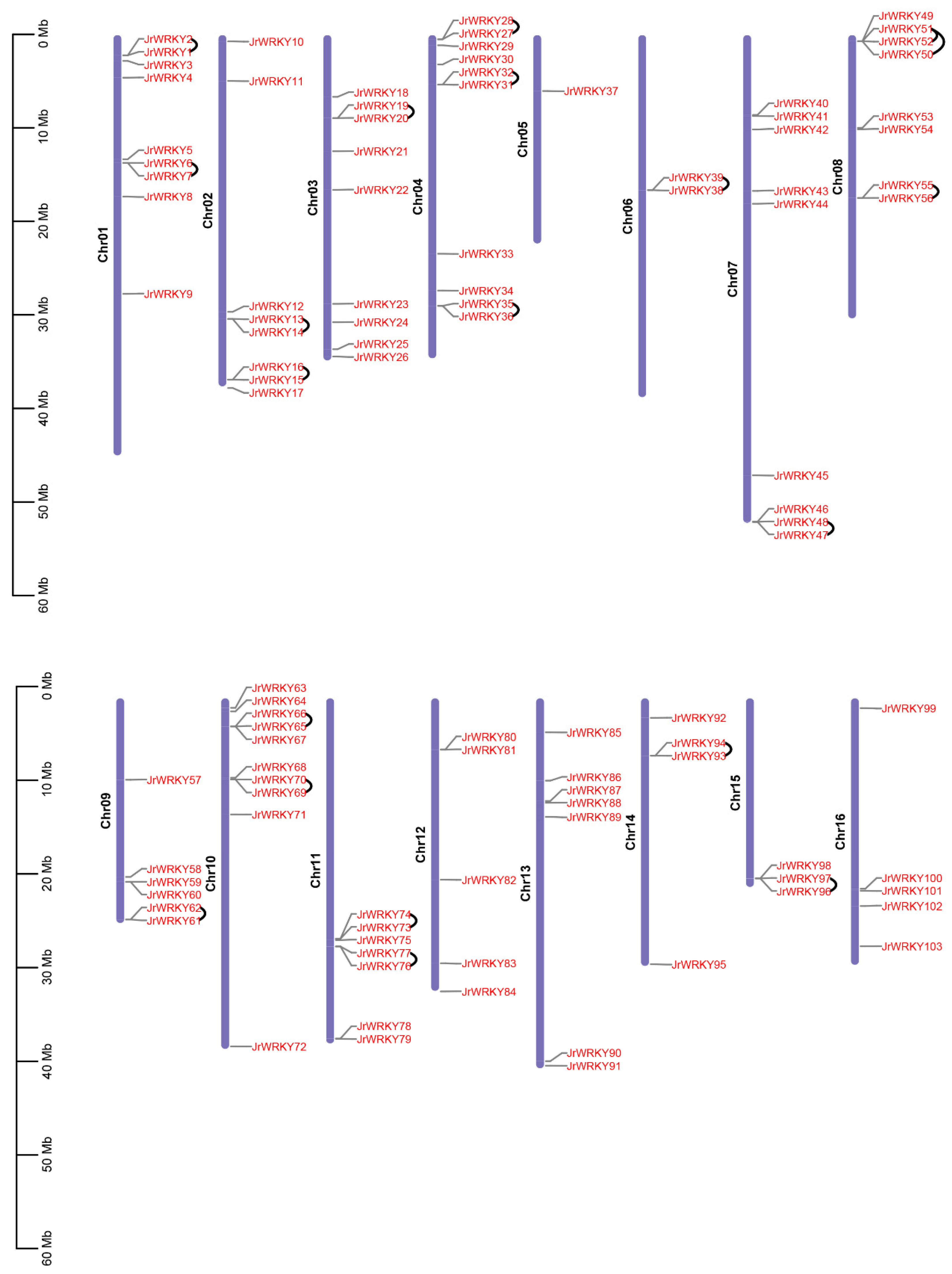 Genes 12 01444 g003 550