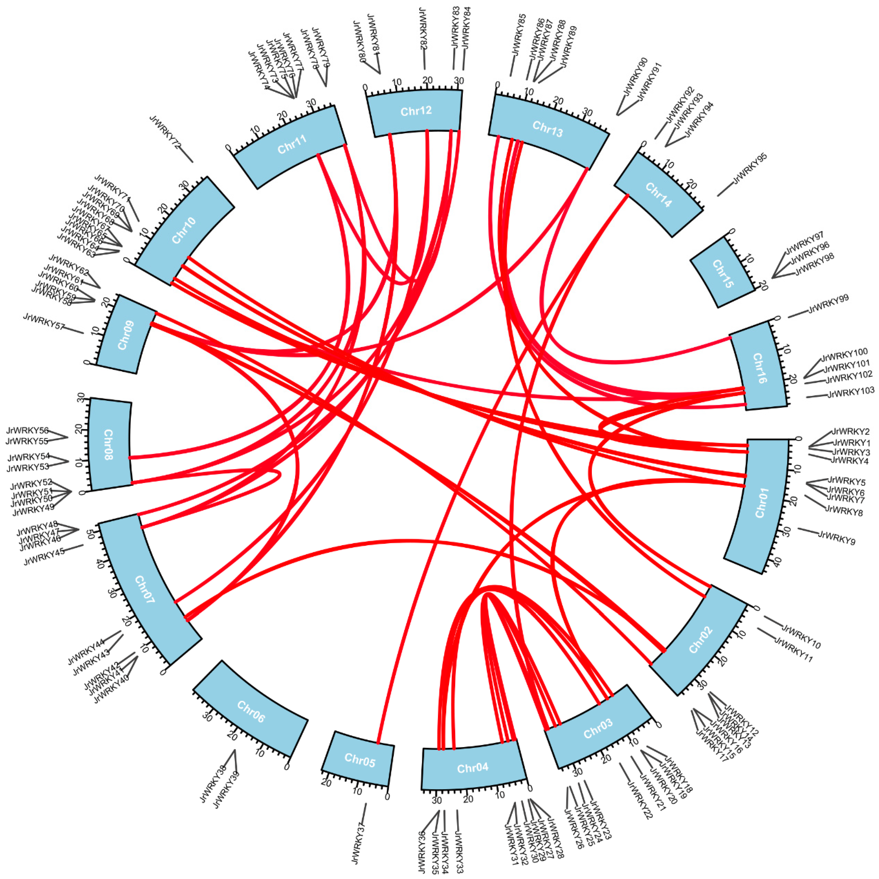 Genes 12 01444 g004 550