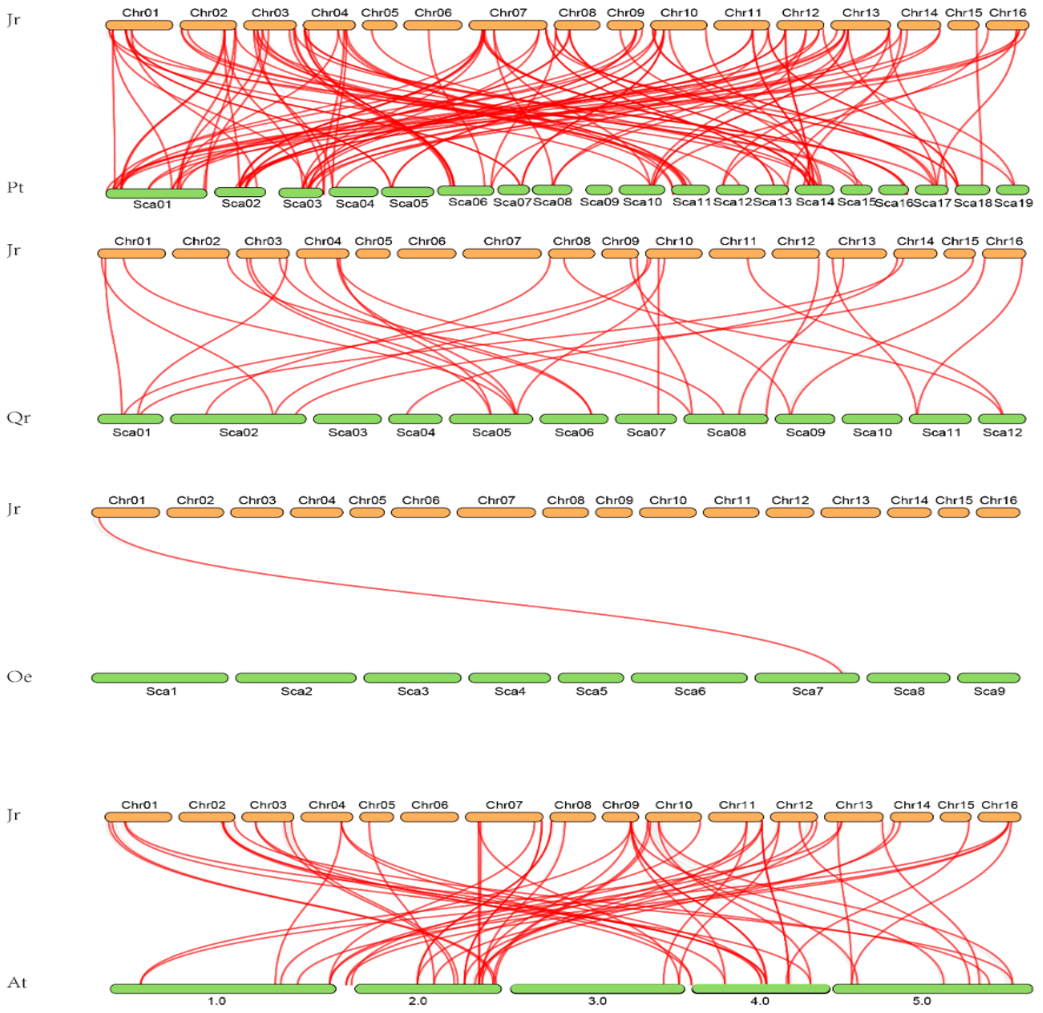Genes 12 01444 g006 550
