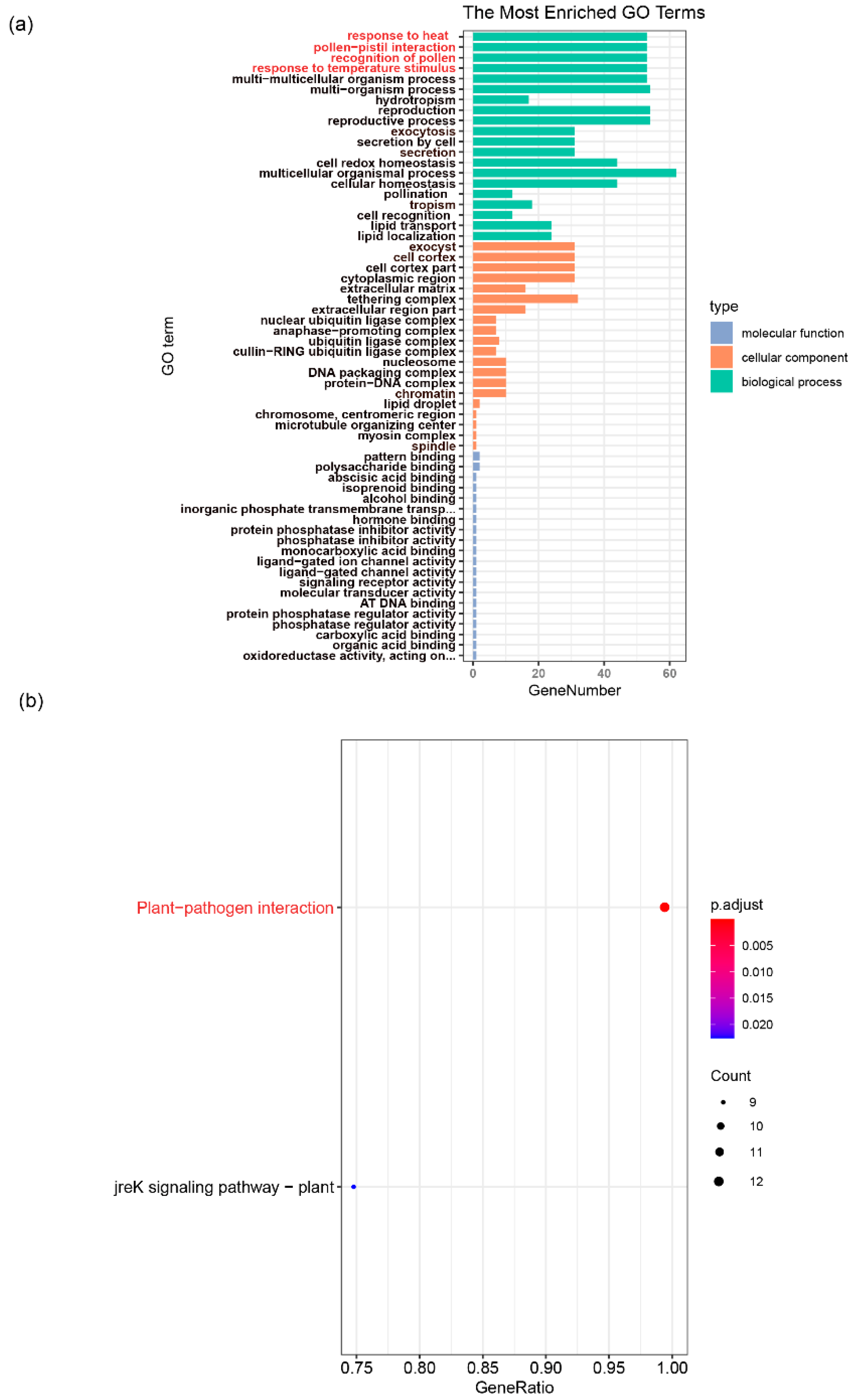Genes 12 01444 g007 550