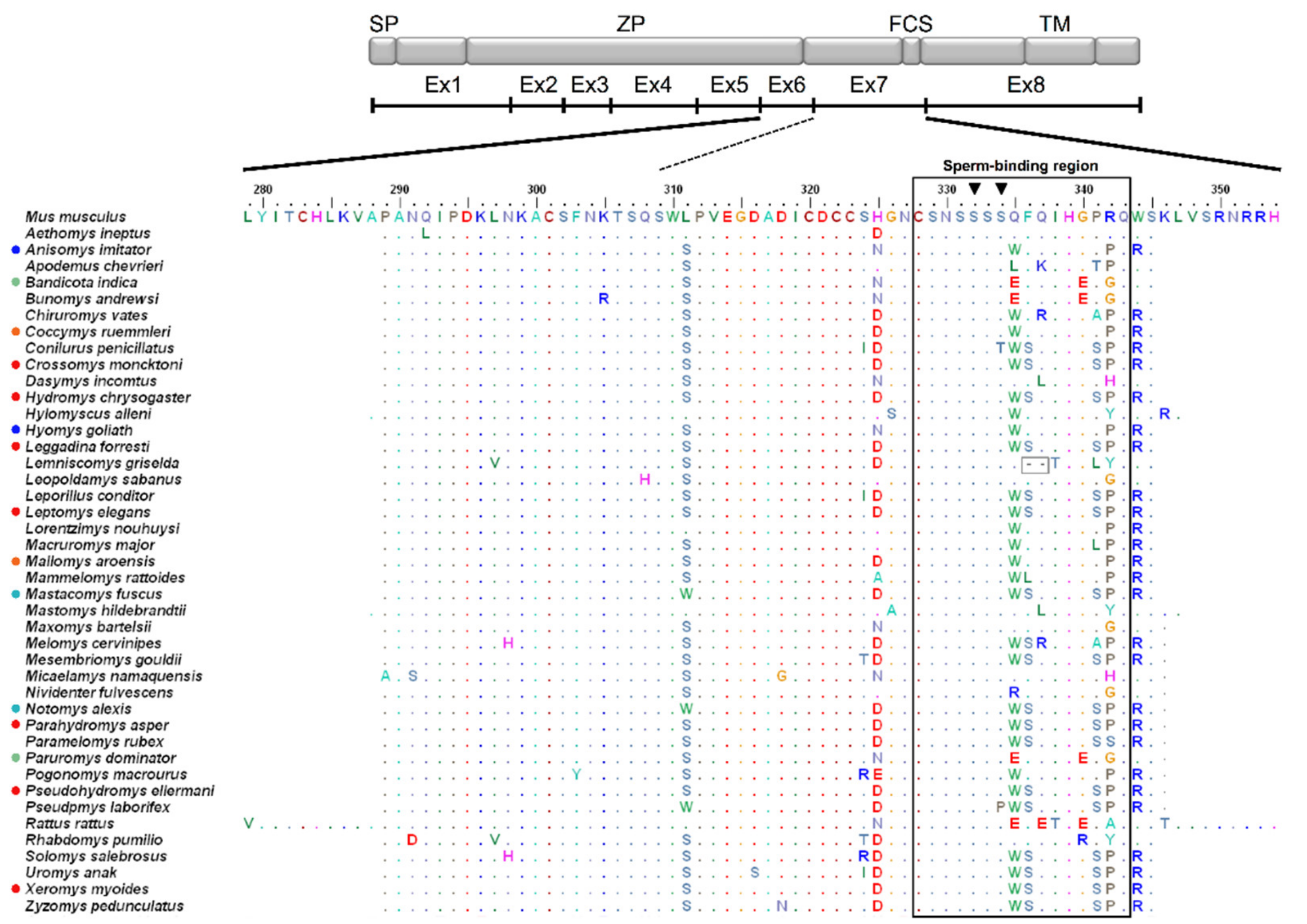 Genes 12 01450 g001