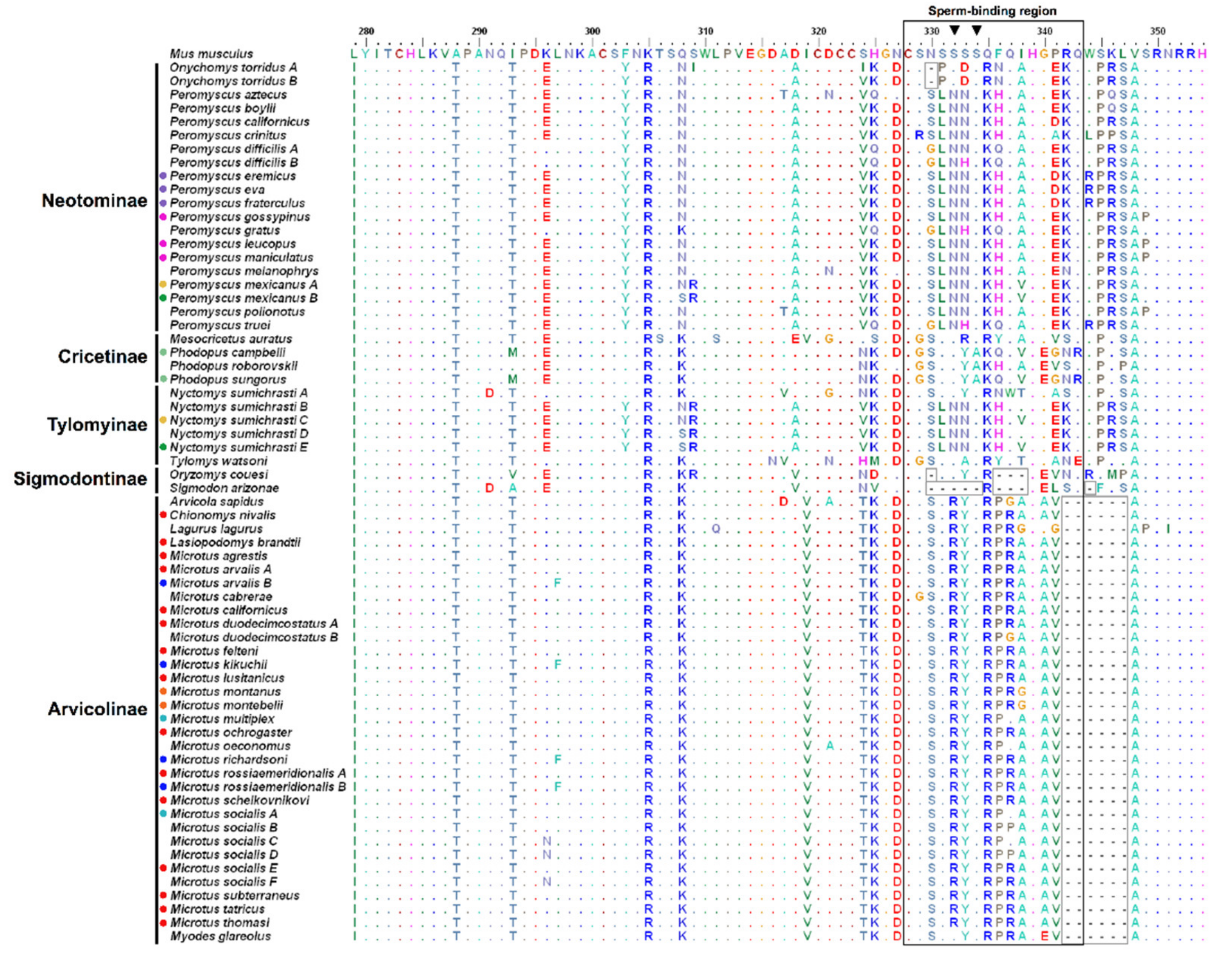Genes 12 01450 g002