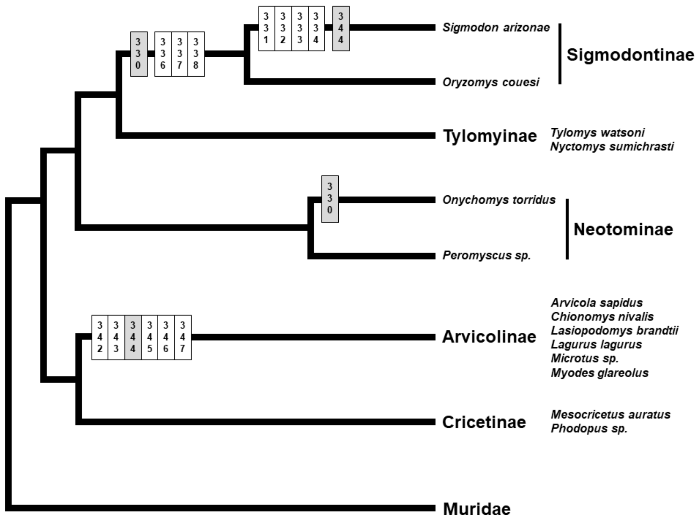 Genes 12 01450 g004
