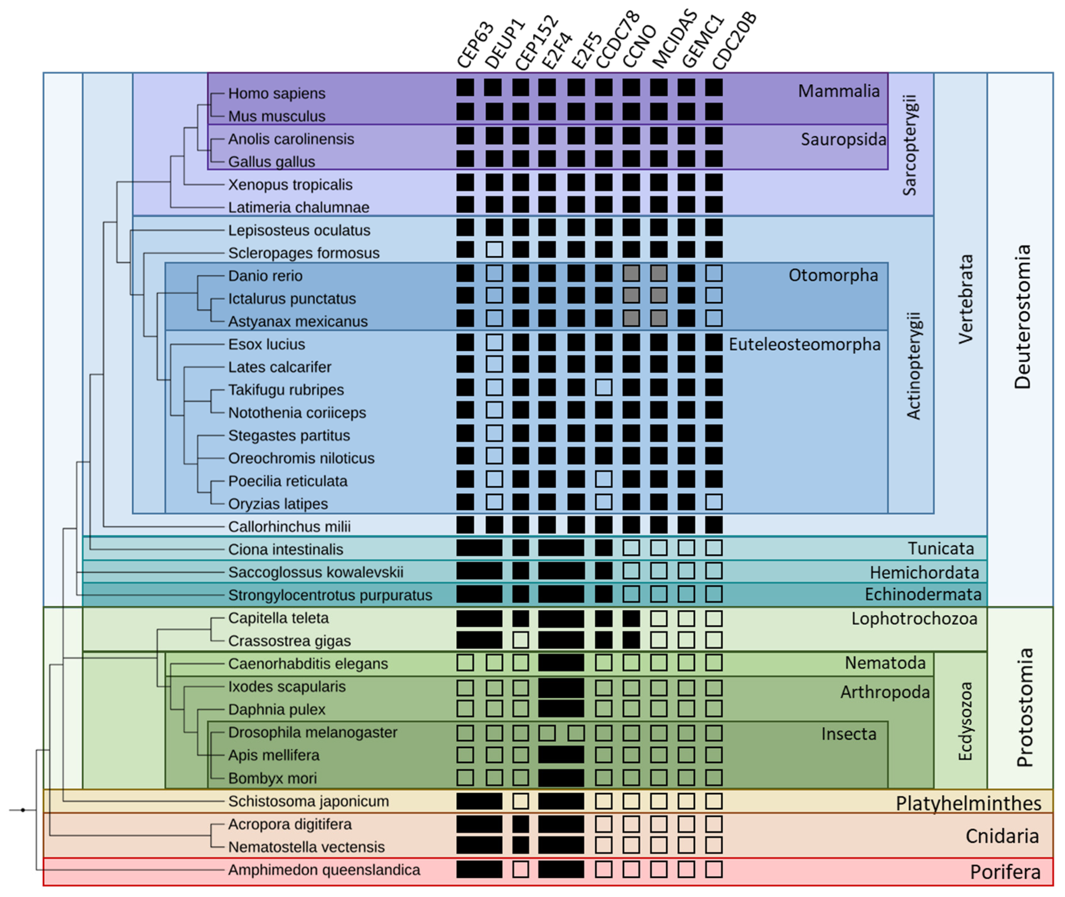 Genes 12 01452 g004