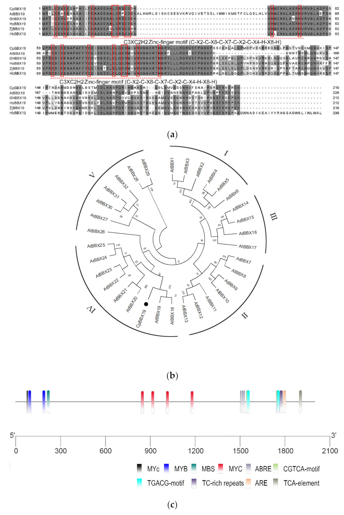 Genes 12 01456 g001 550