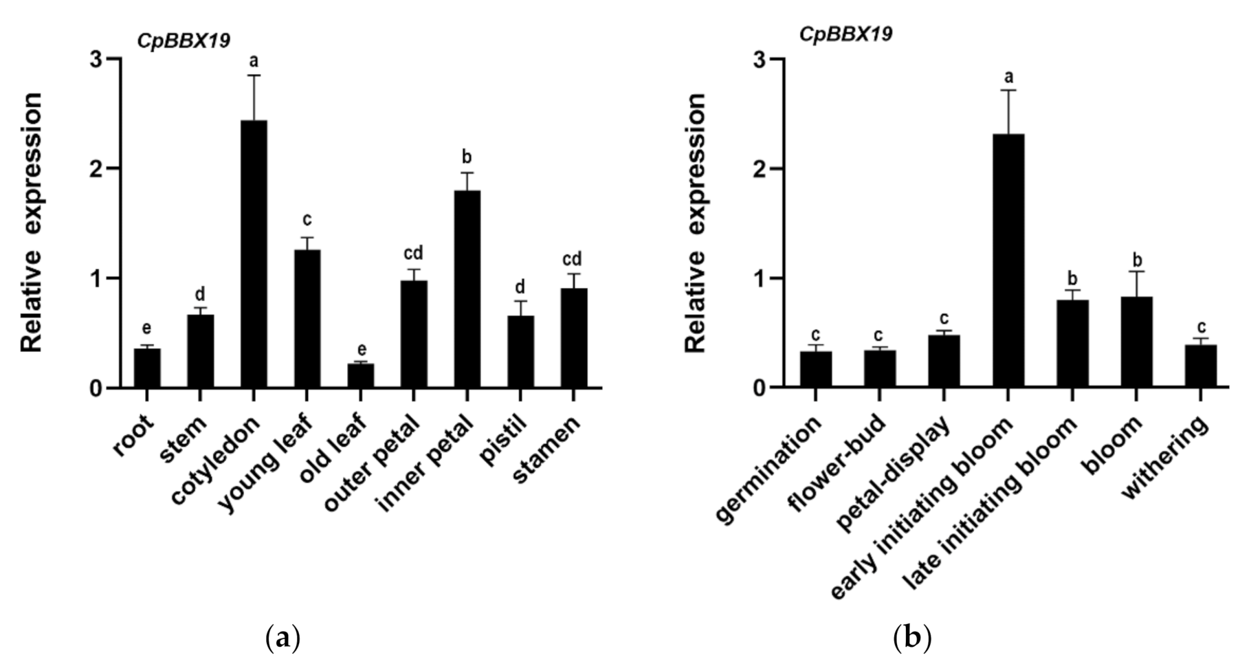 Genes 12 01456 g003 550