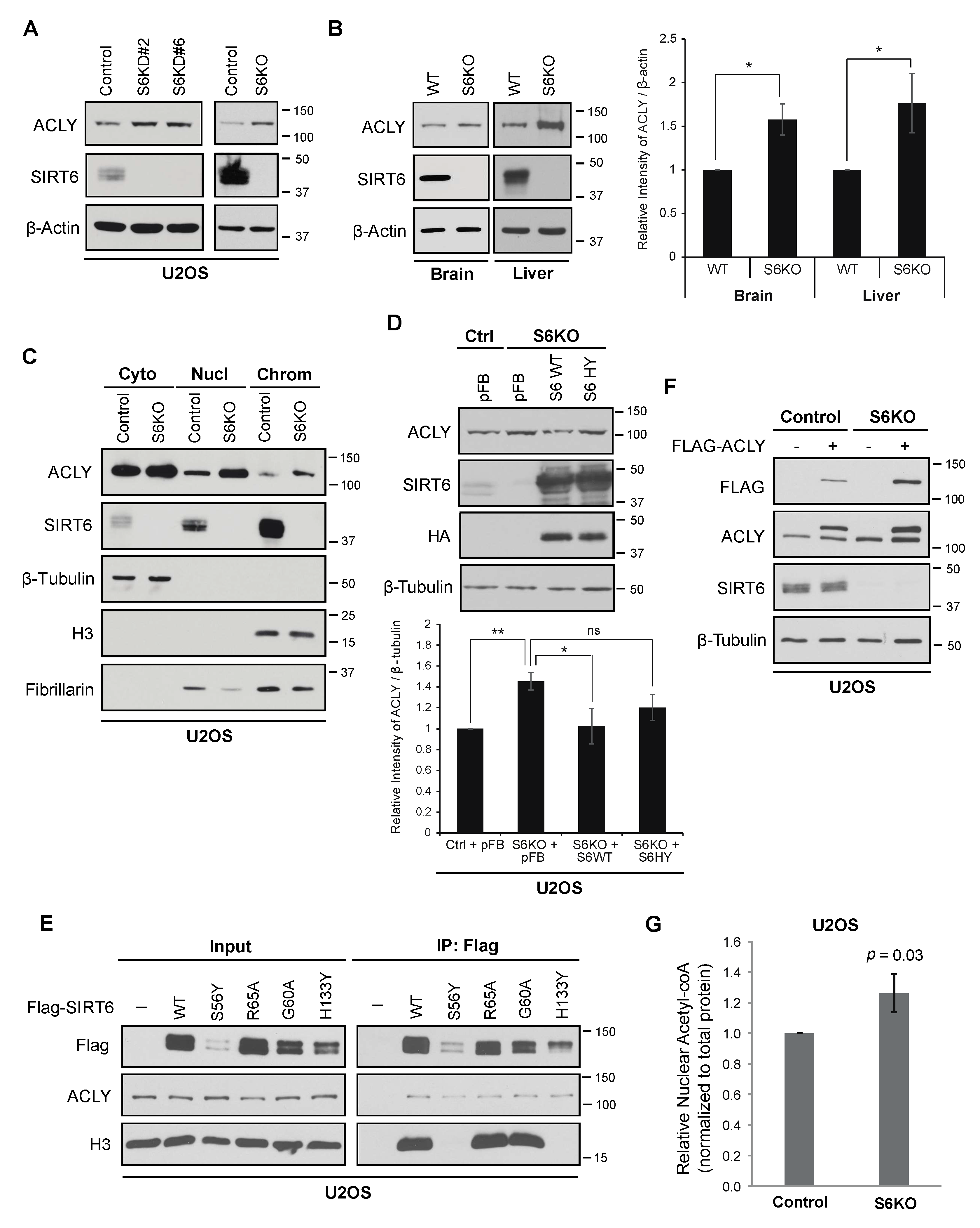 Genes 12 01460 g001 Genes 12 01460 g001