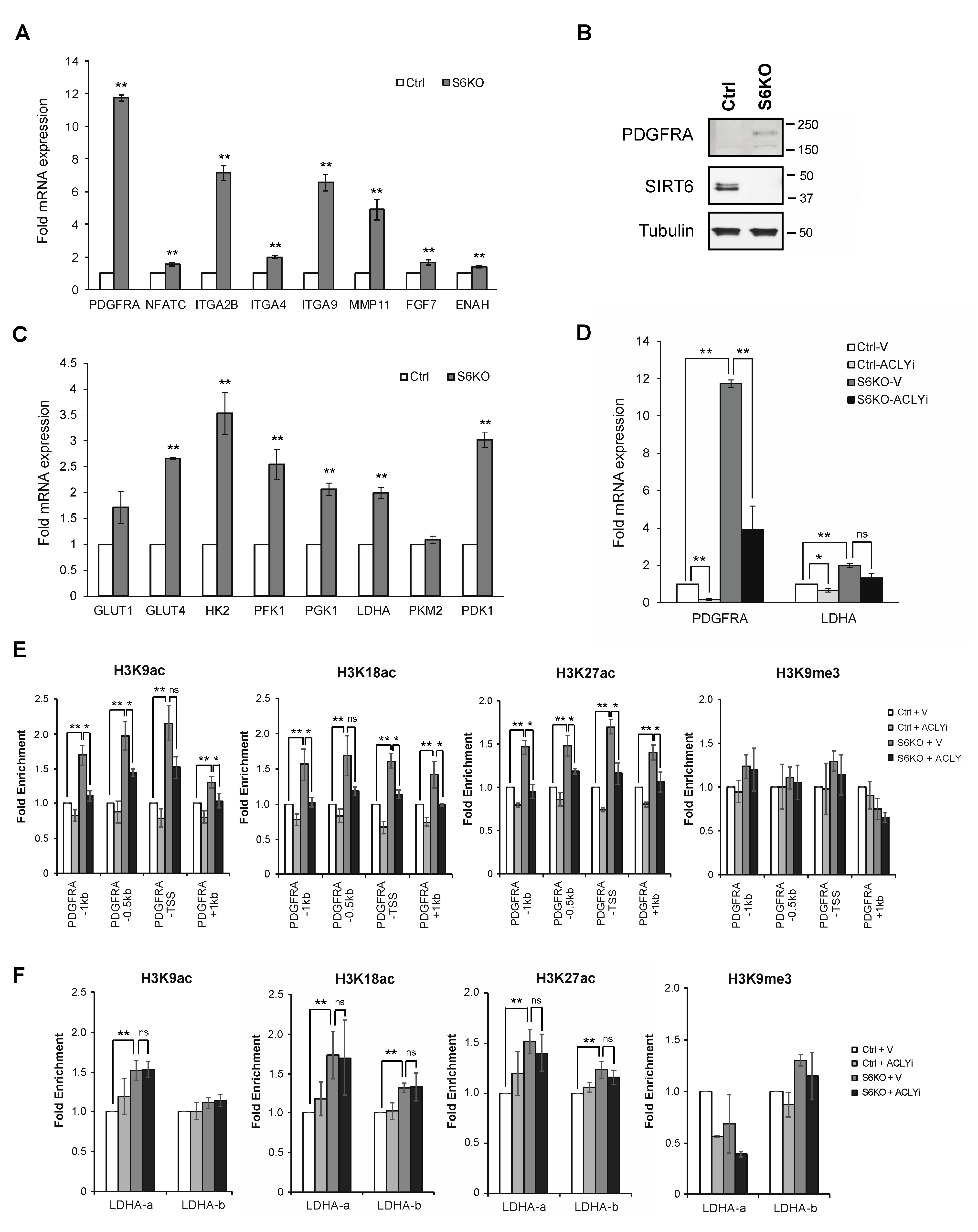 Genes 12 01460 g002 Genes 12 01460 g002