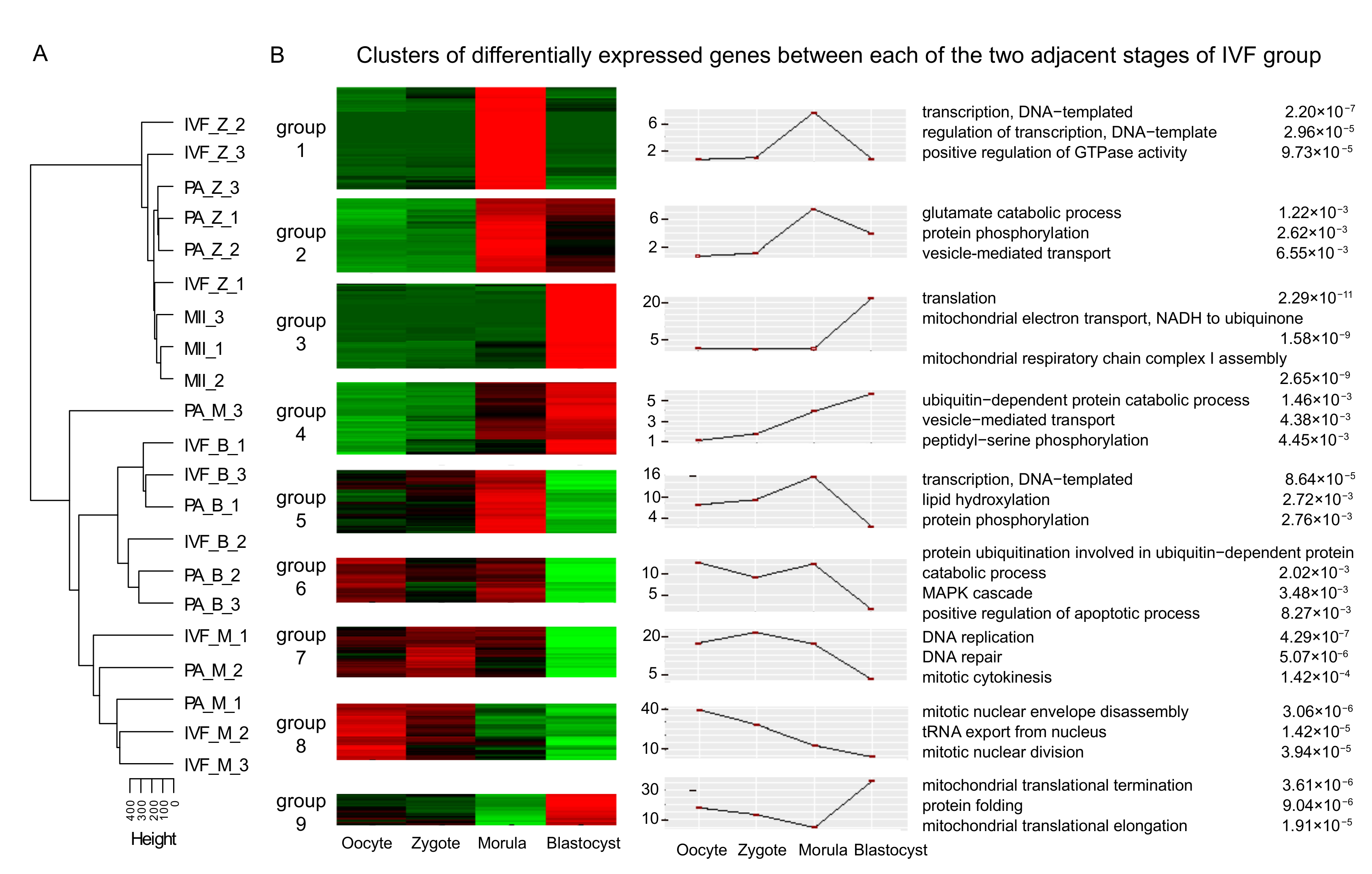 Genes 12 01461 g001 Genes 12 01461 g001