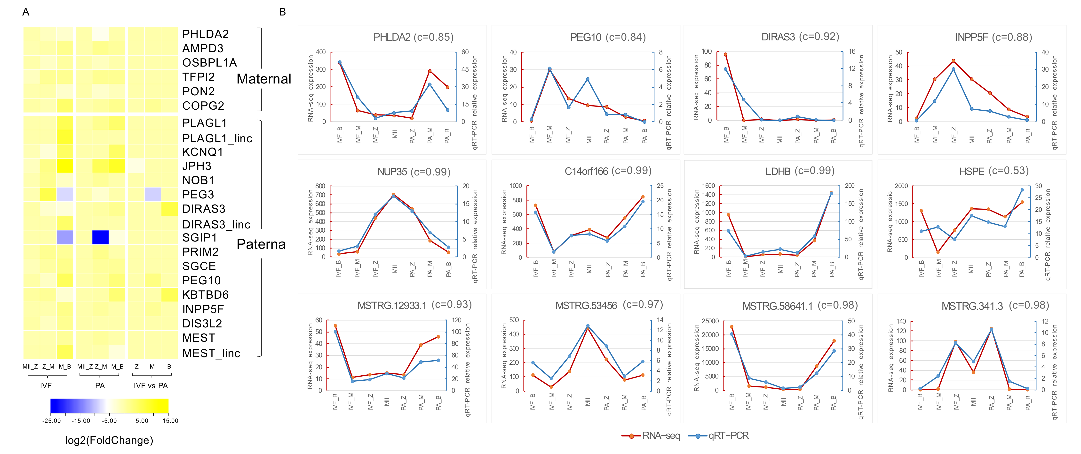 Genes 12 01461 g005 Genes 12 01461 g005