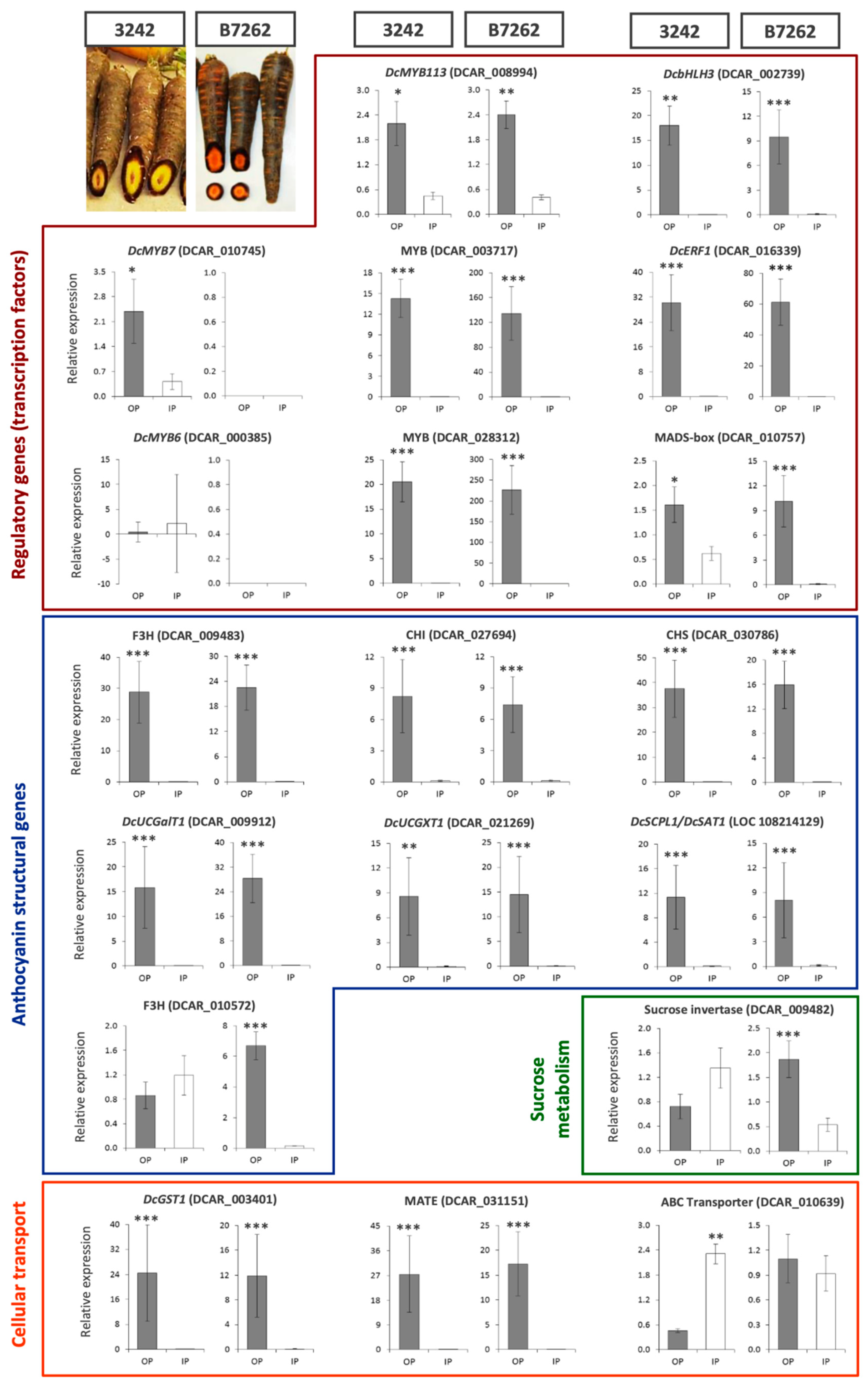 Genes 12 01464 g002 550