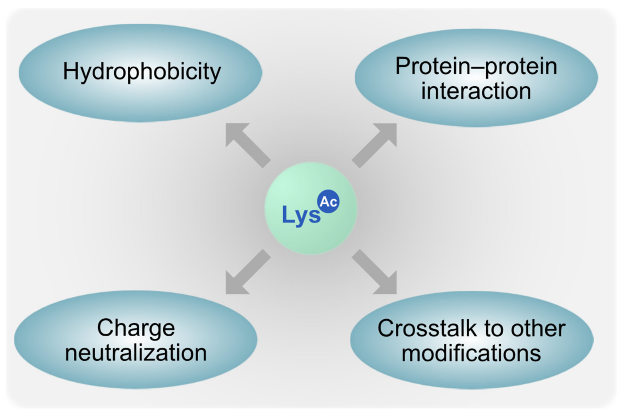 Genes 12 01470 g002 Genes 12 01470 g002
