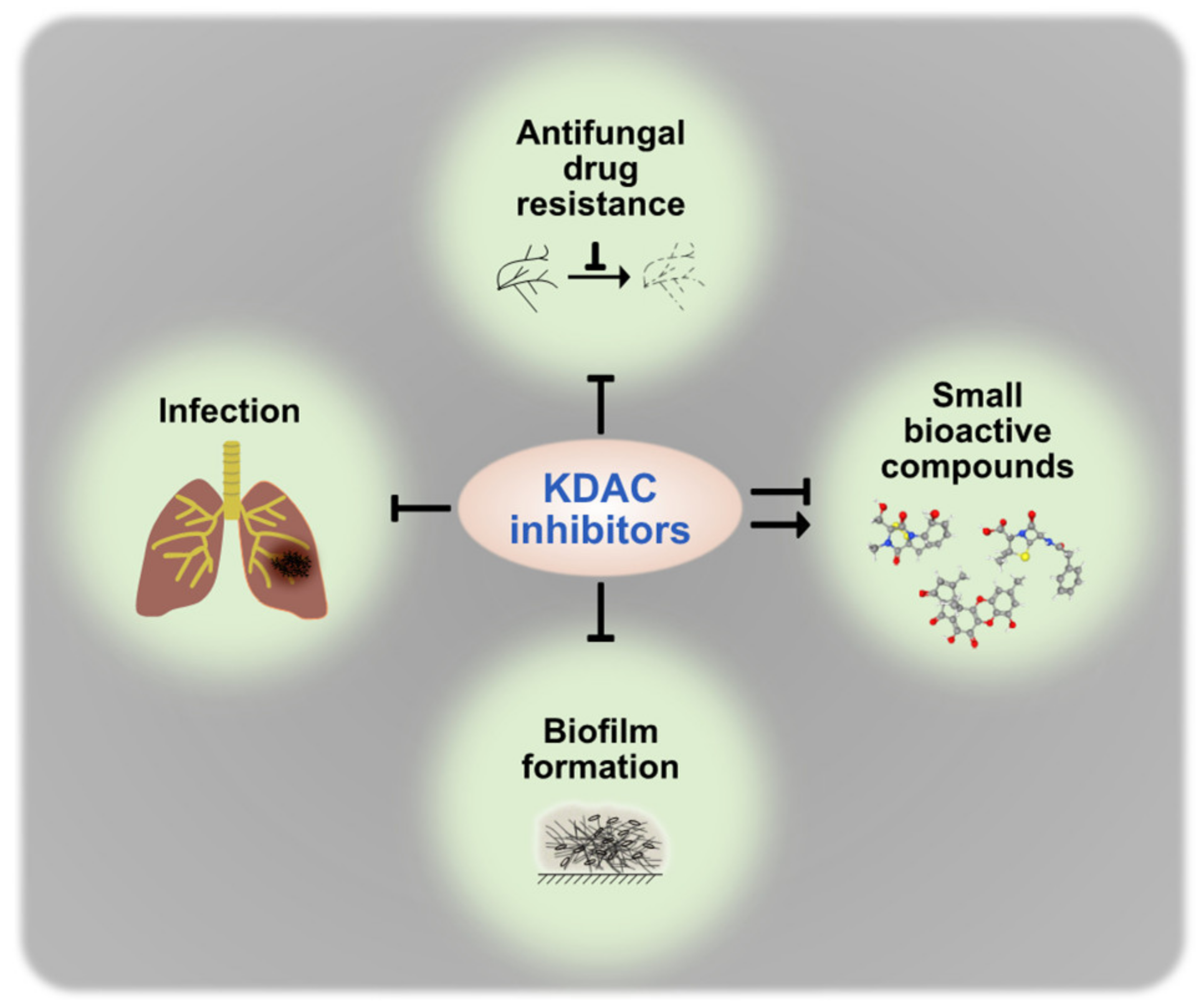 Genes 12 01470 g003 Genes 12 01470 g003