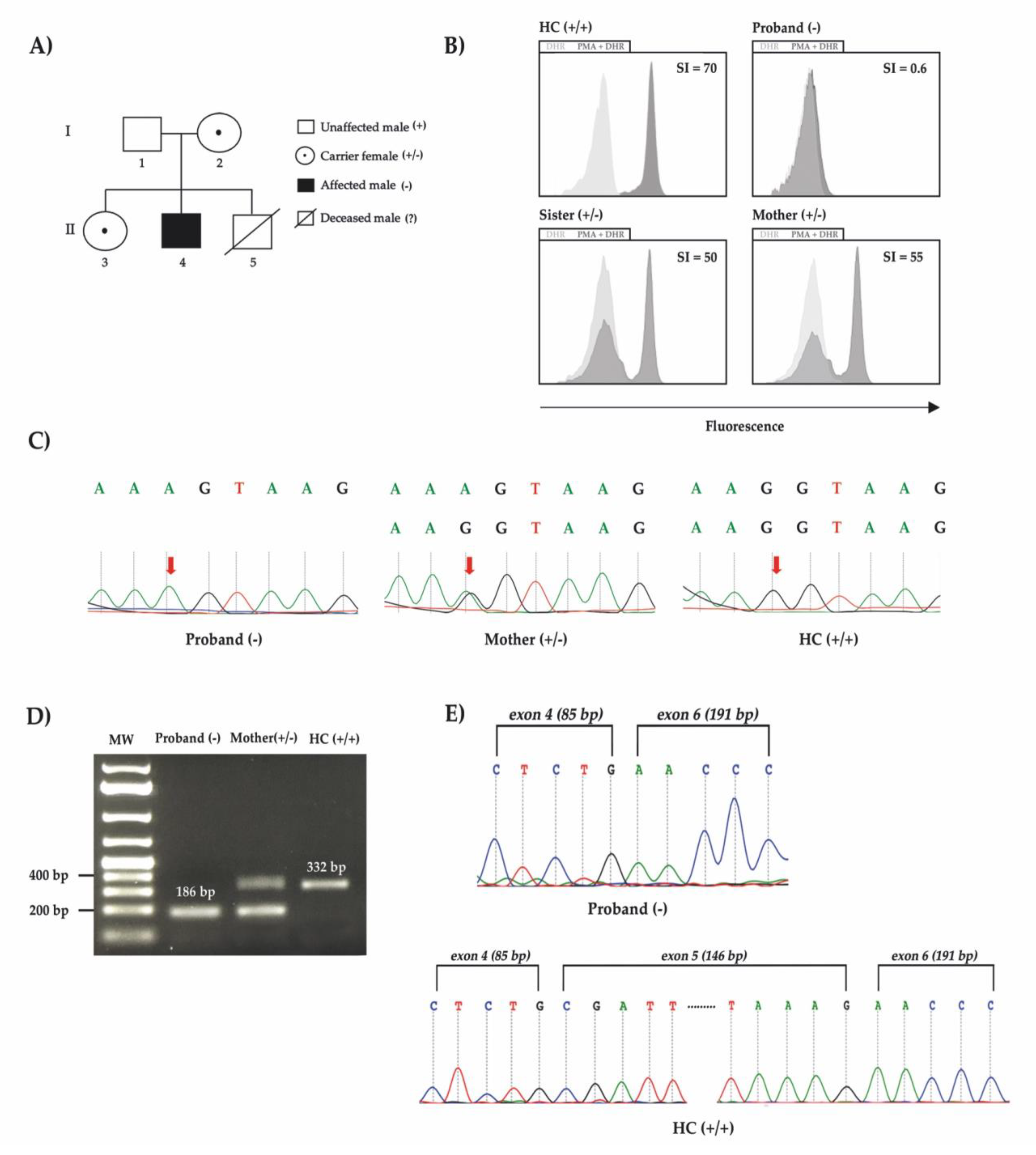 Genes 12 01476 g001 550