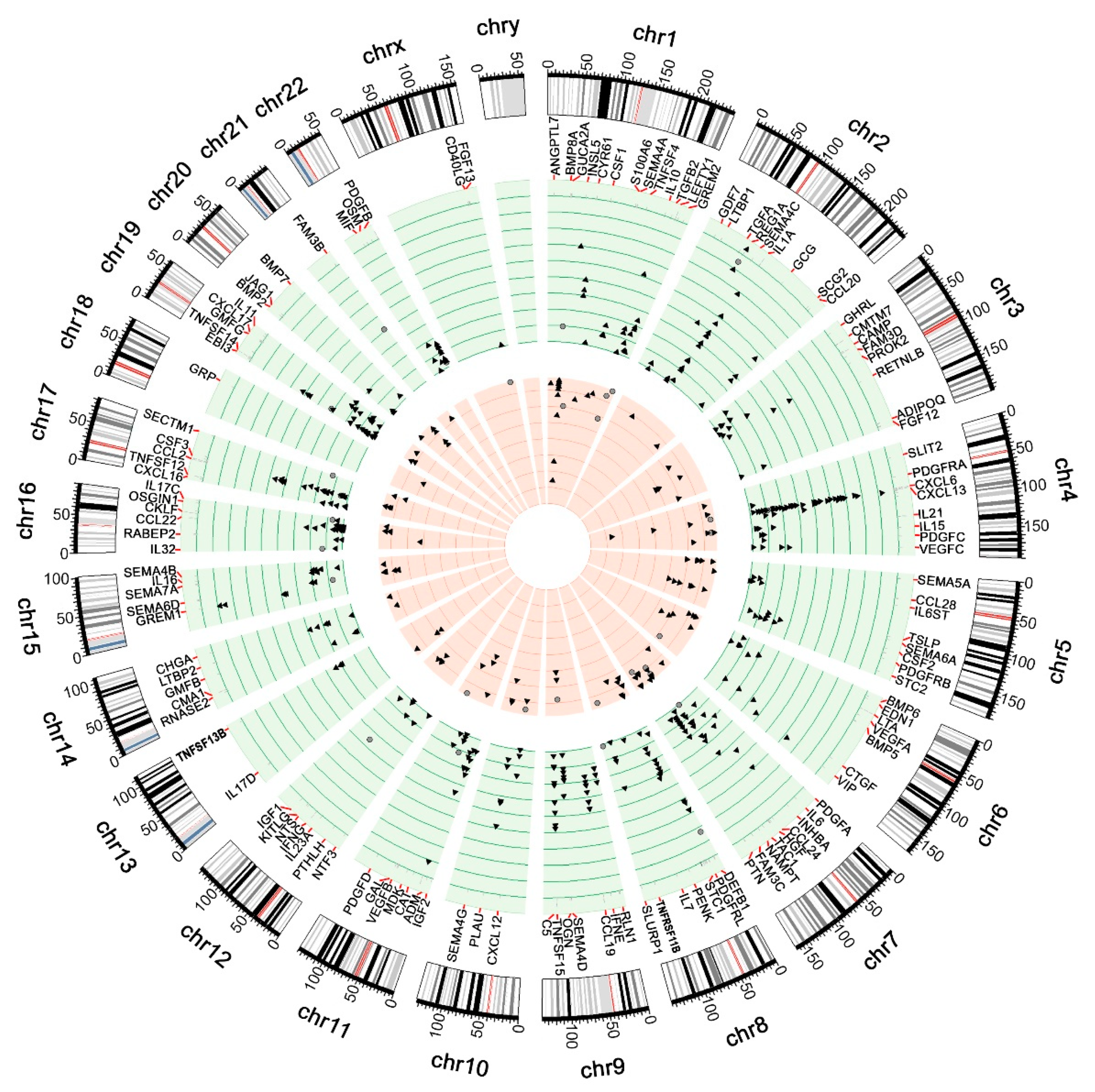 Genes 12 01477 g001 Genes 12 01477 g001
