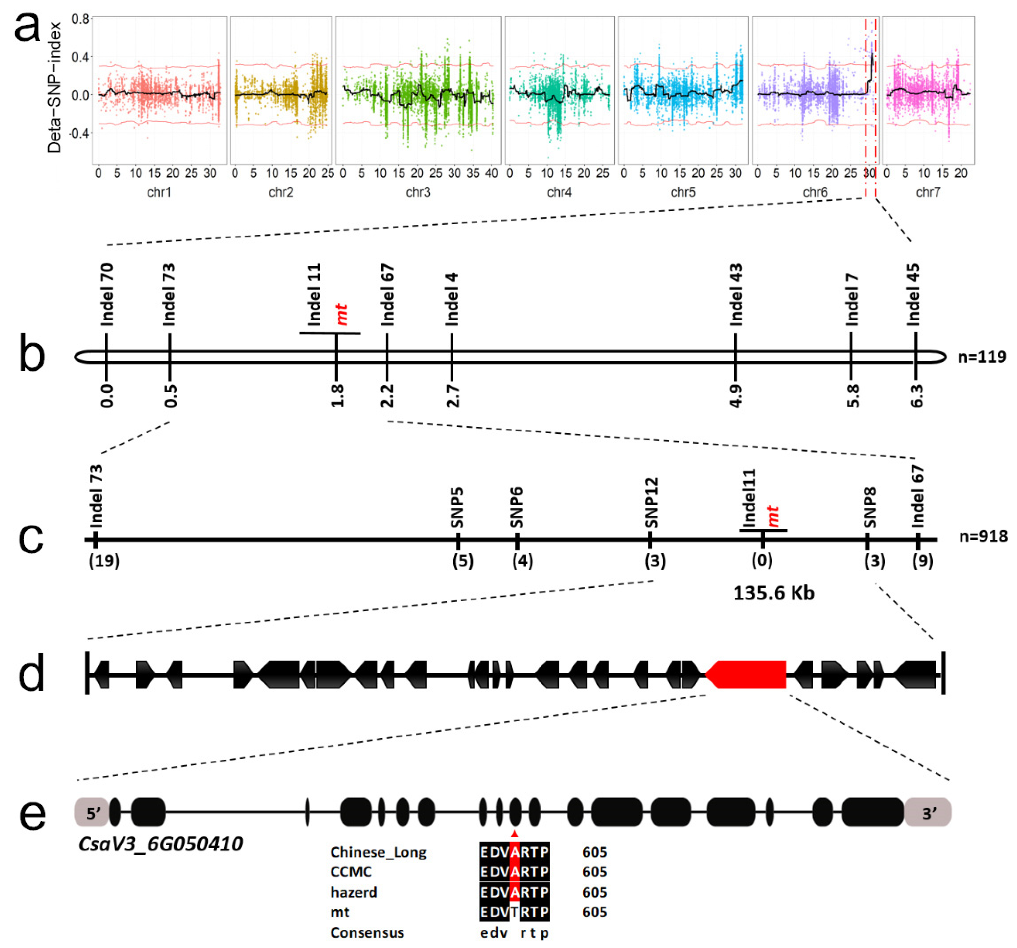 Genes 12 01478 g003 550
