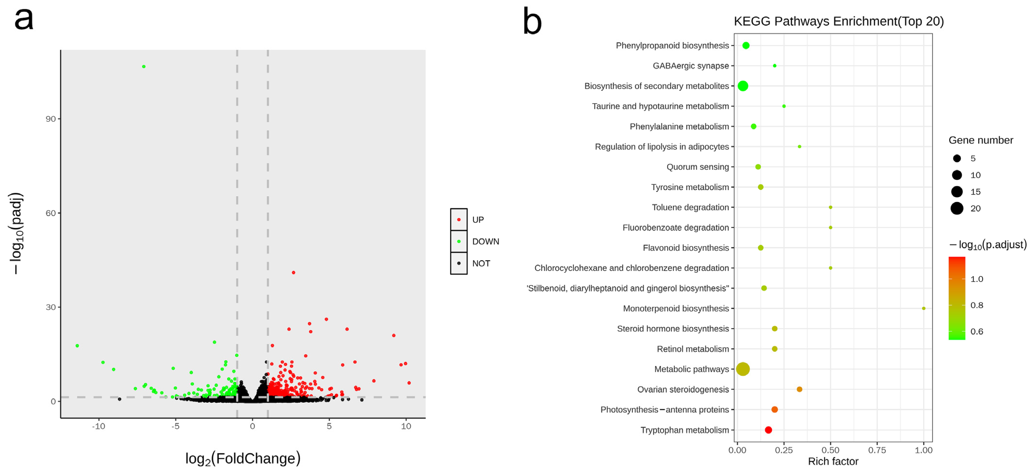 Genes 12 01478 g006 550