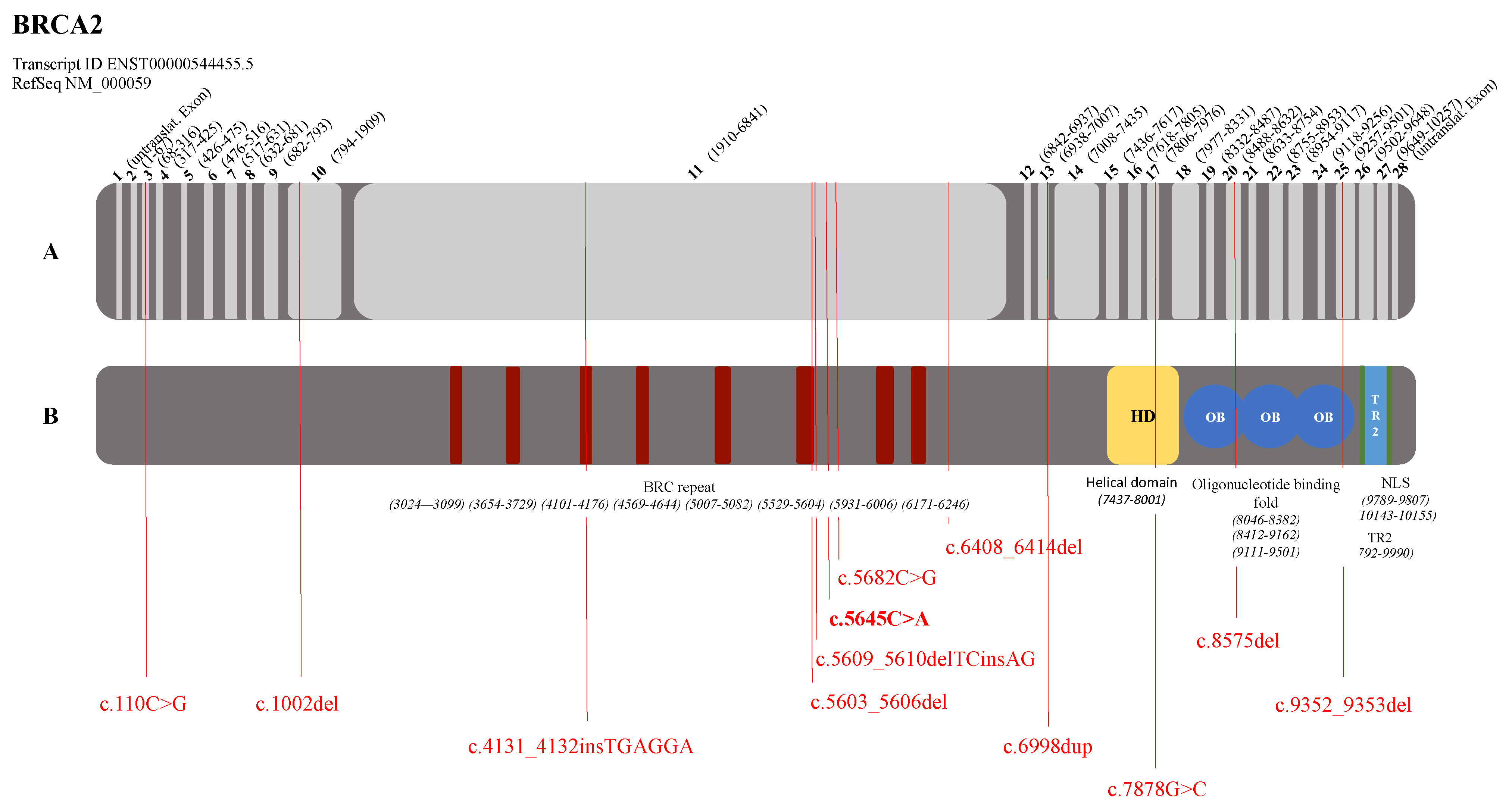 Genes 12 01483 g002