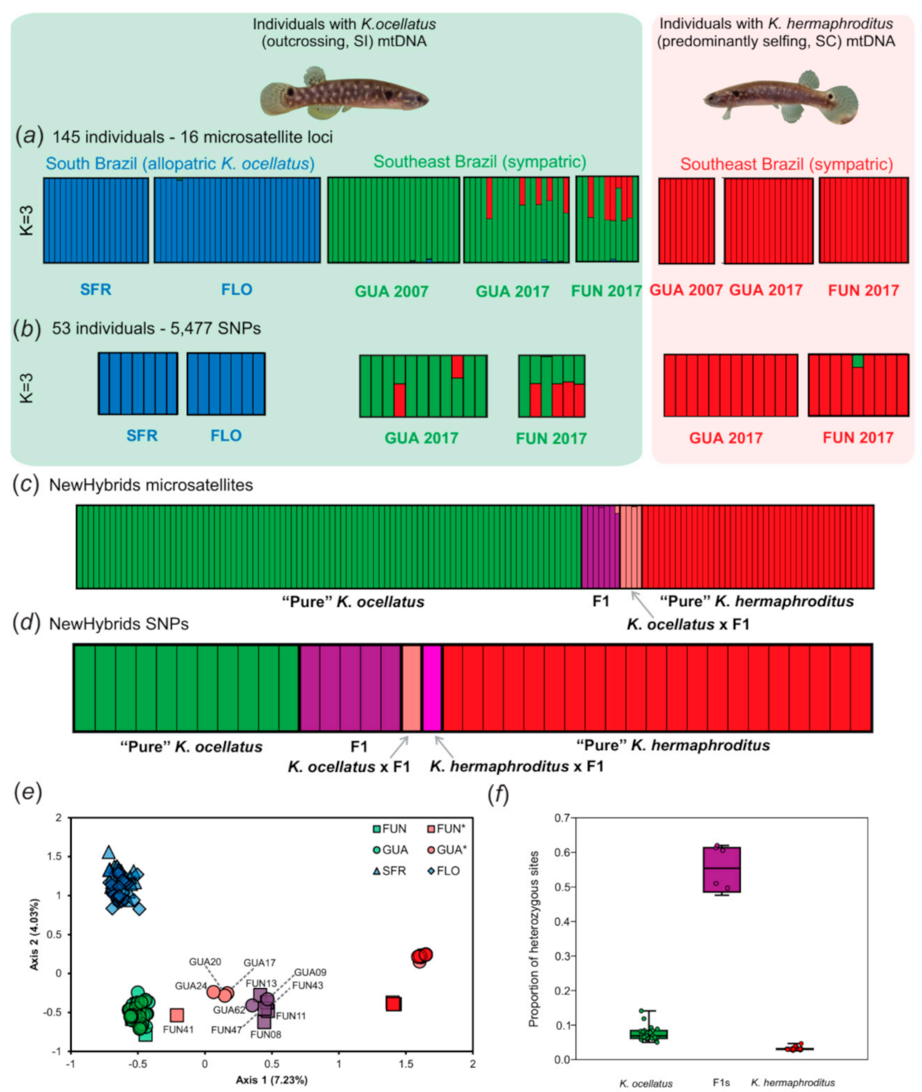 Genes 12 01486 g003
