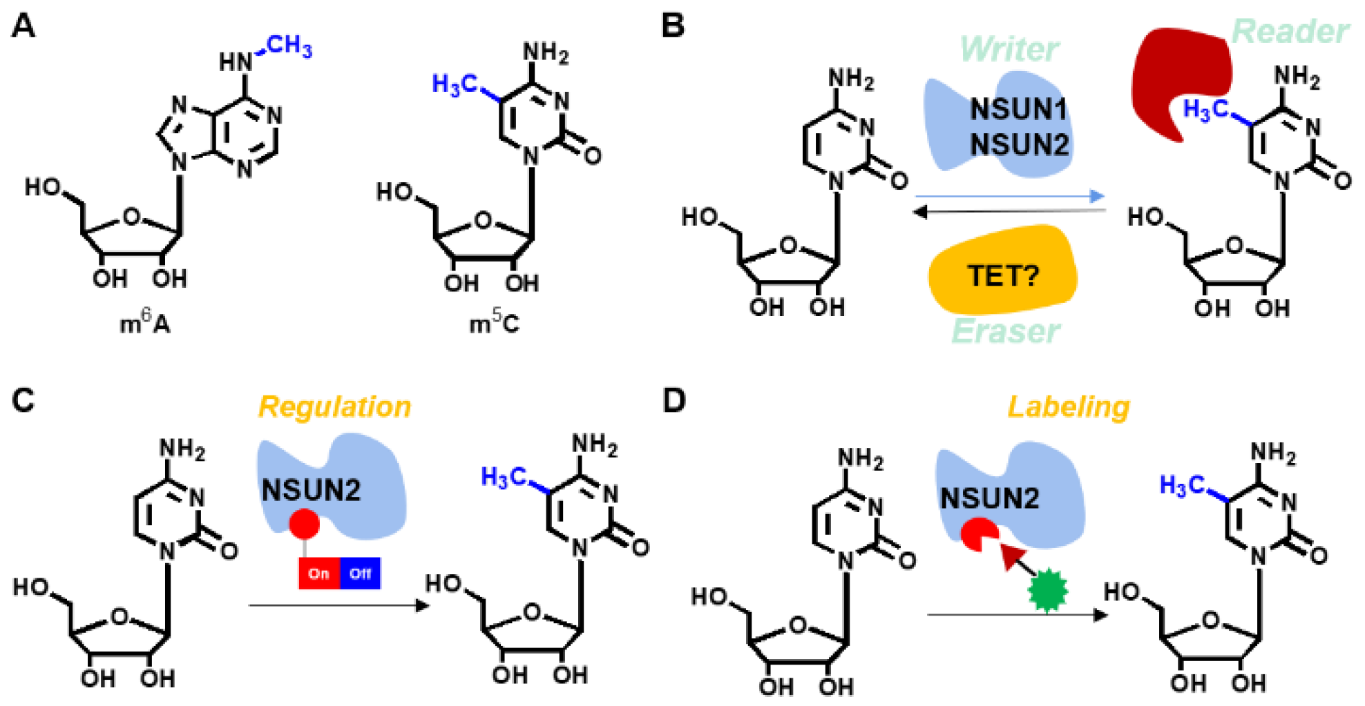 Genes 12 01488 g001 550