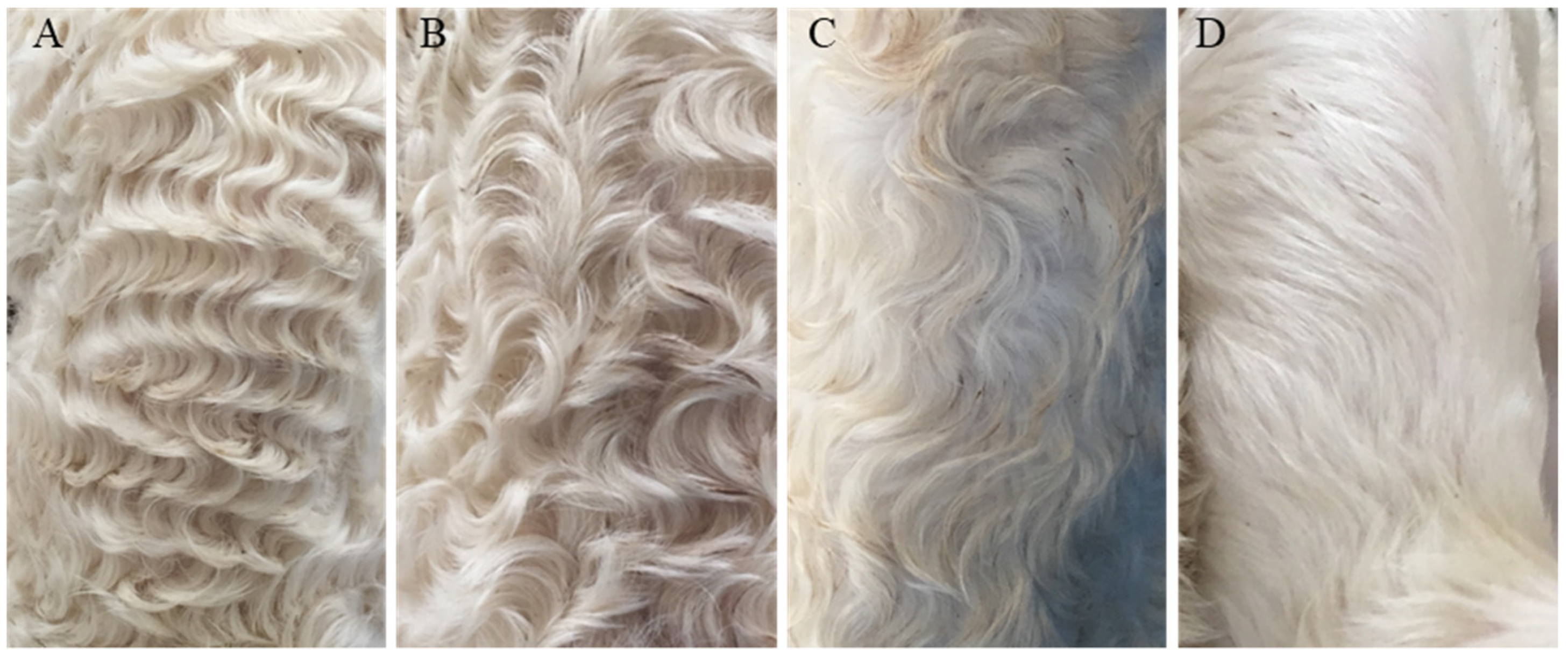 Genes 12 01490 g001 550