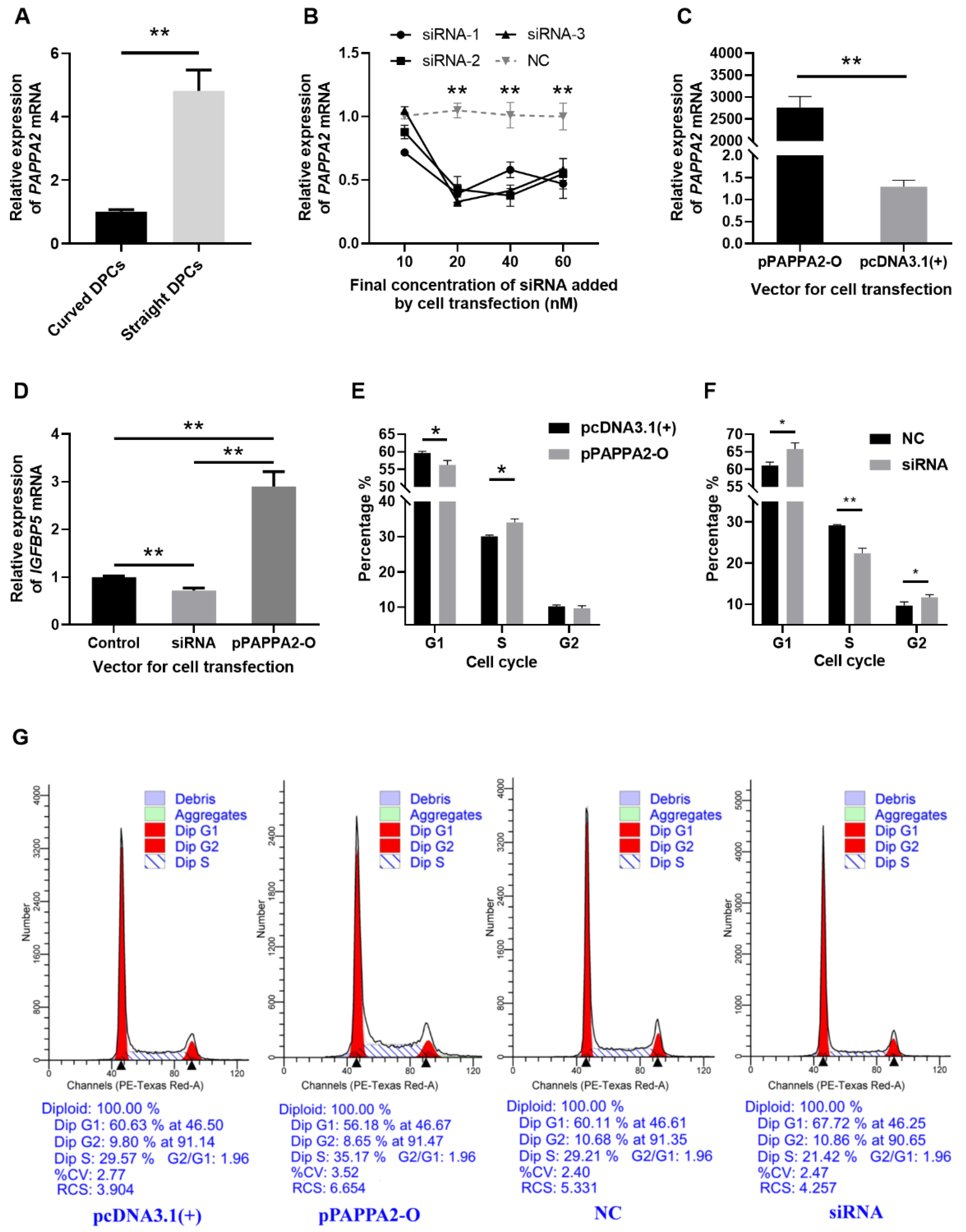 Genes 12 01490 g004 550