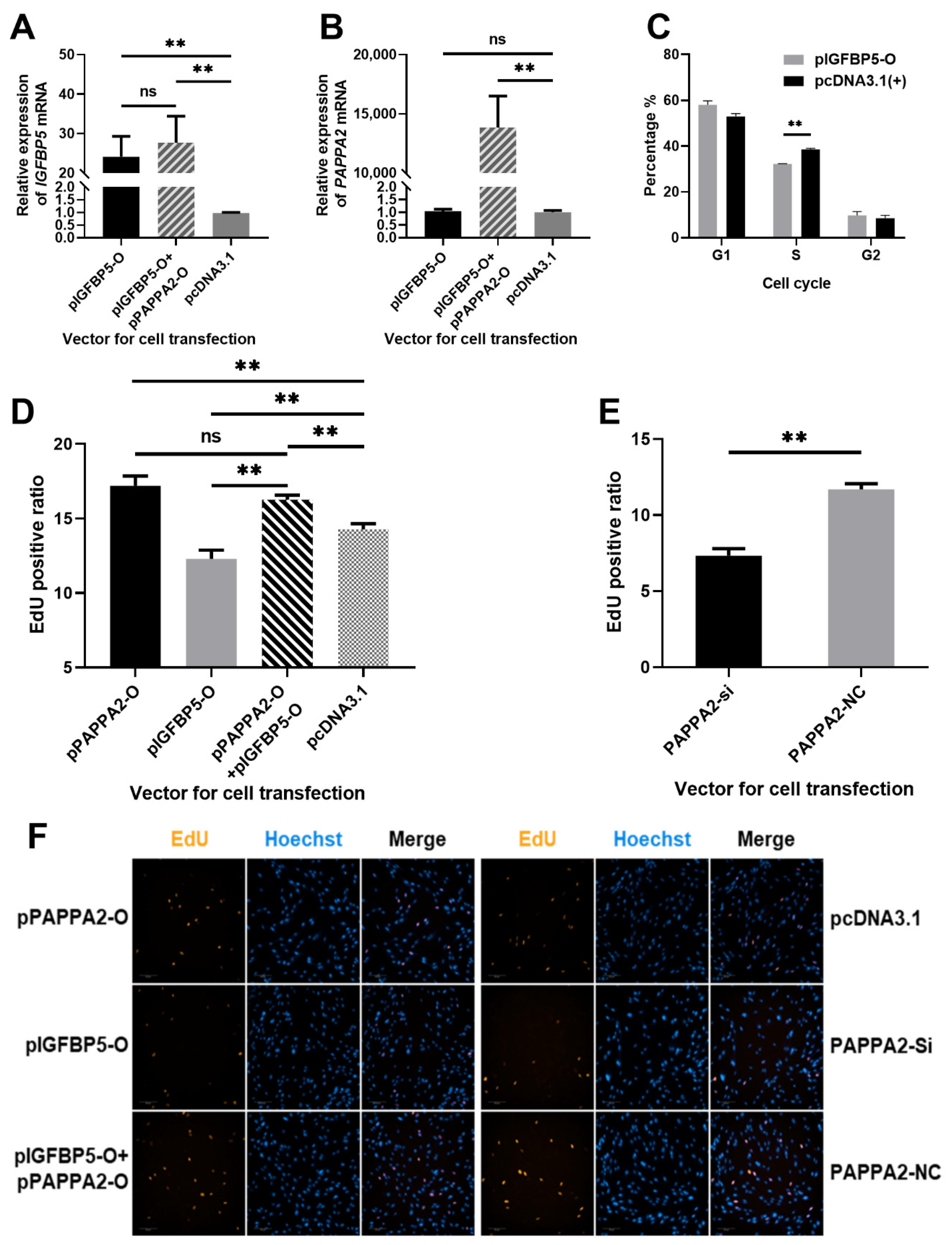 Genes 12 01490 g005 550