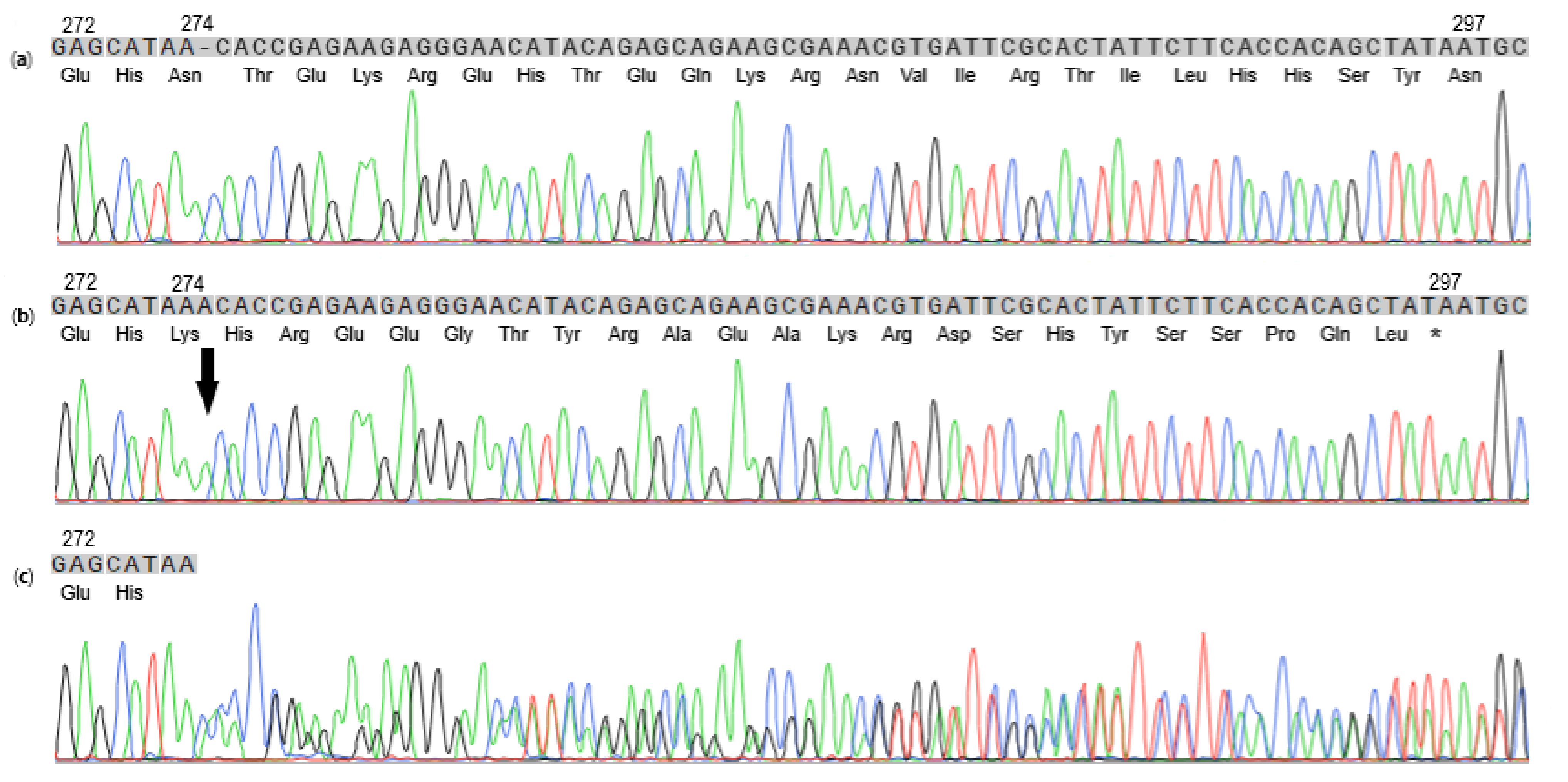 Genes 12 01491 g002