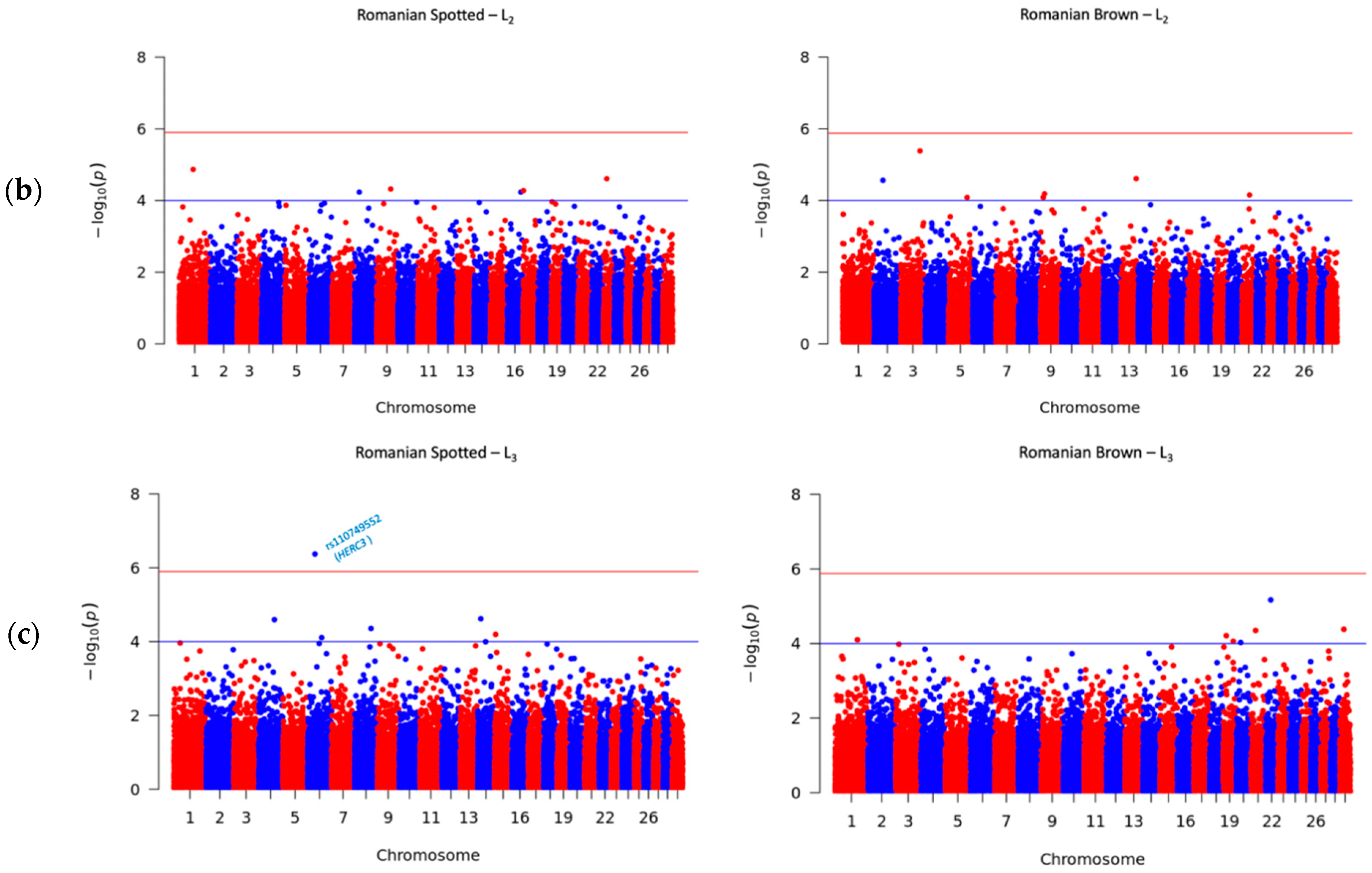Genes 12 01495 g002b 550