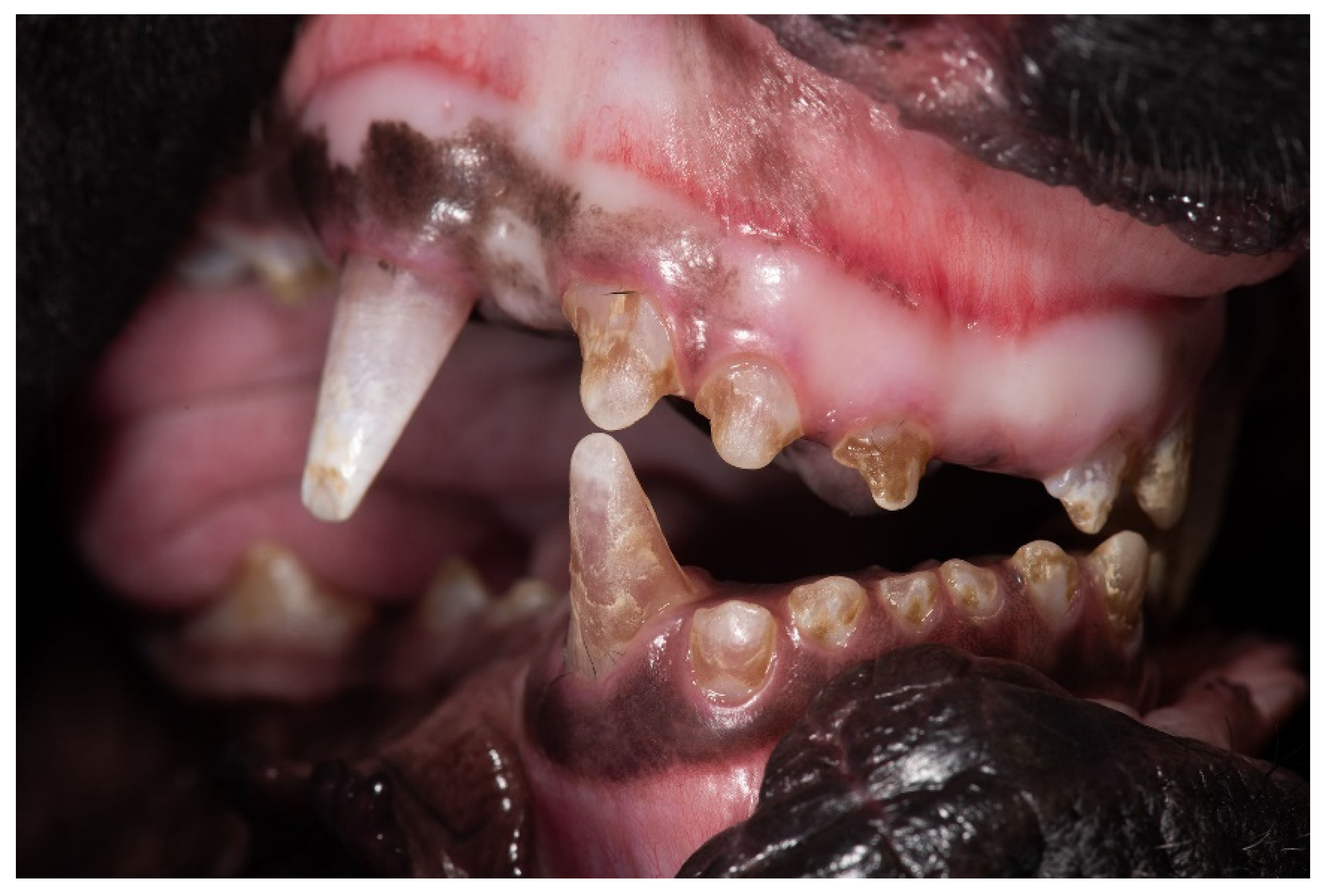 Genes 12 01497 g001 550