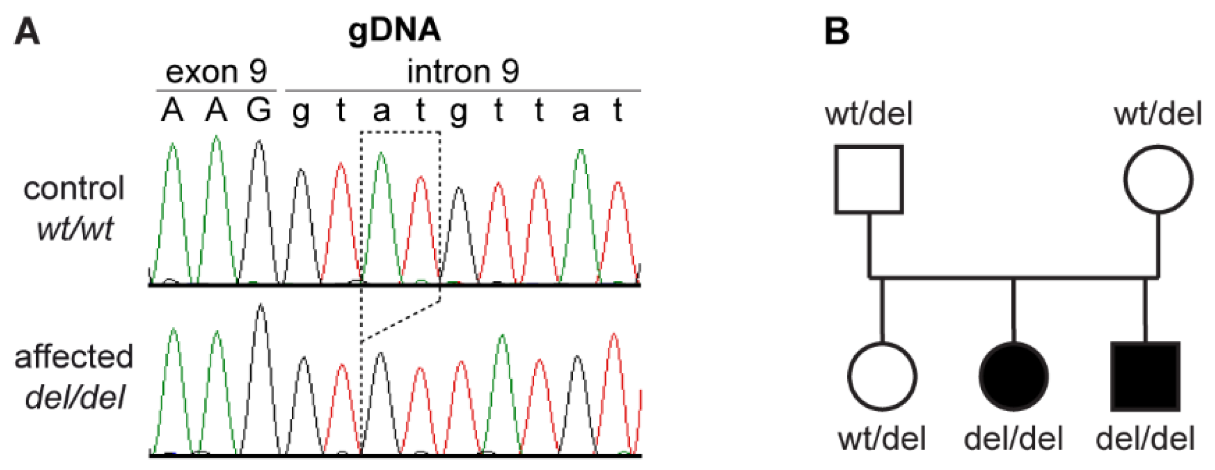 Genes 12 01497 g003 550