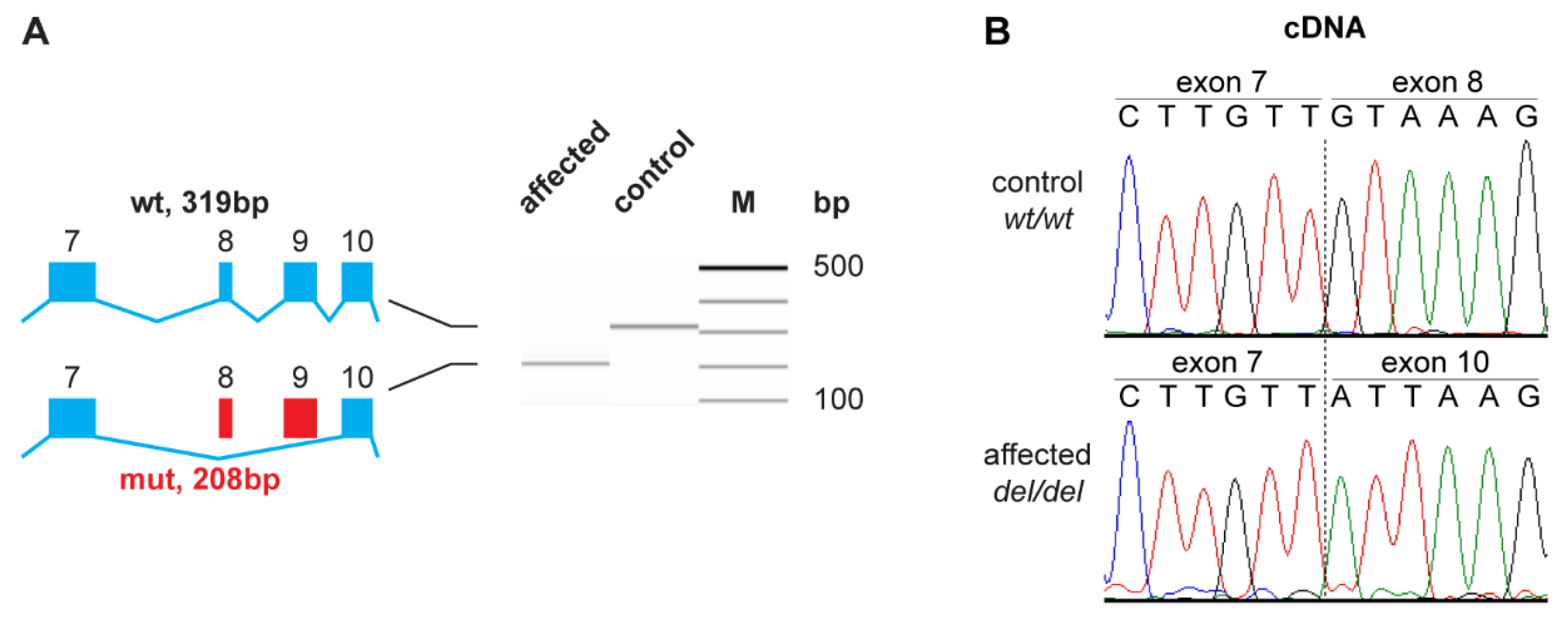 Genes 12 01497 g004 550