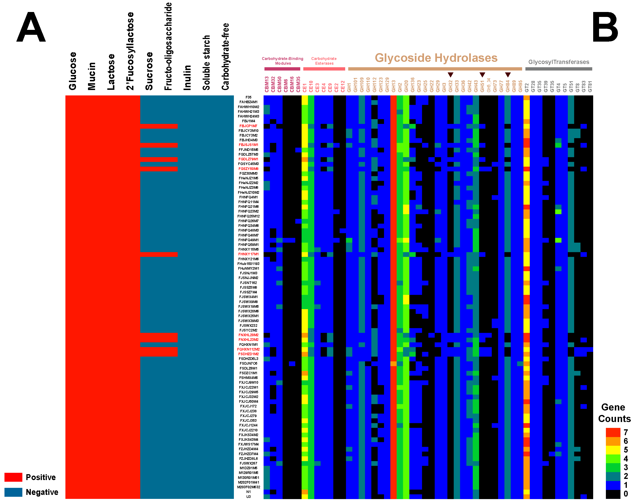 Genes 12 01504 g006