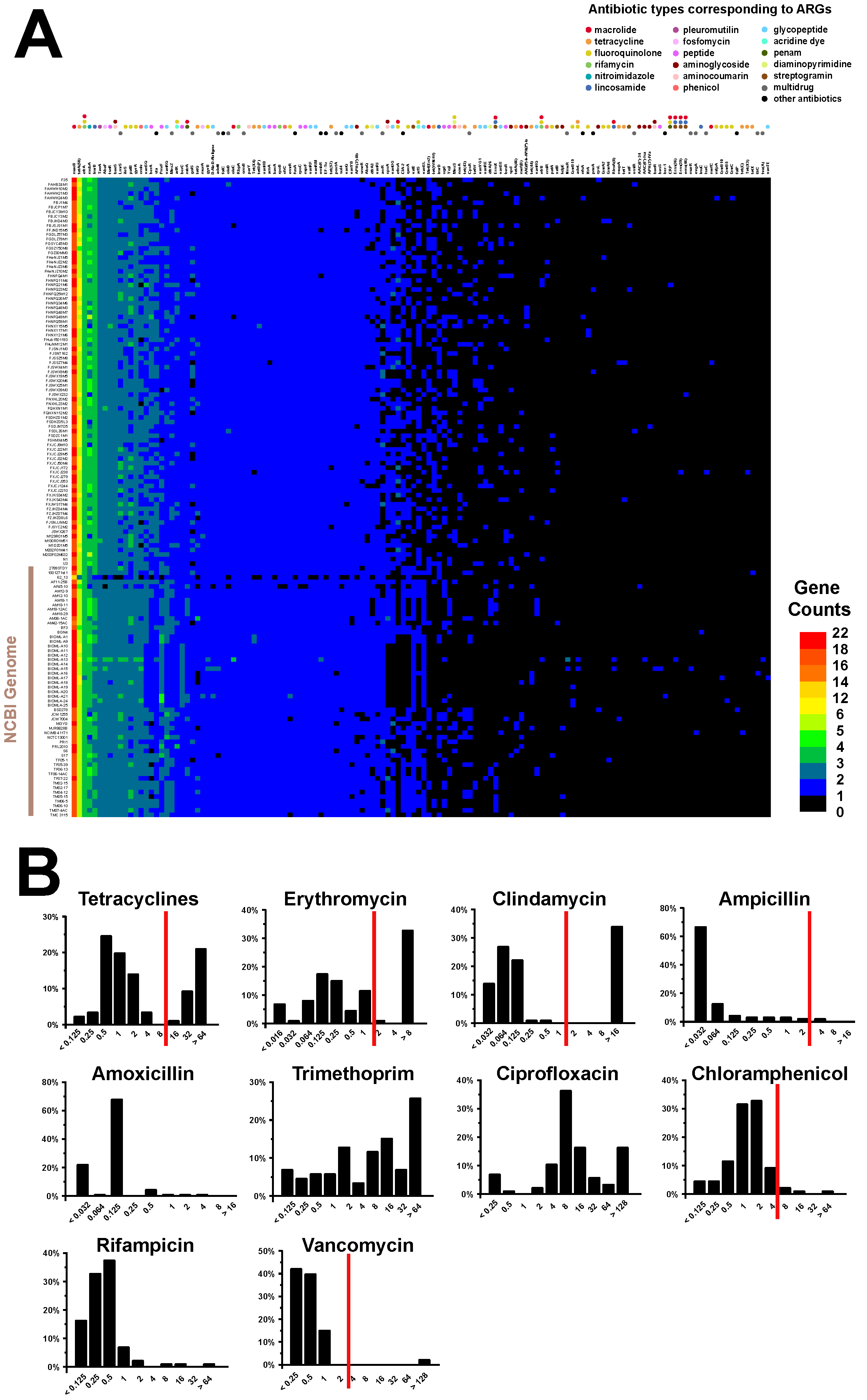 Genes 12 01504 g007