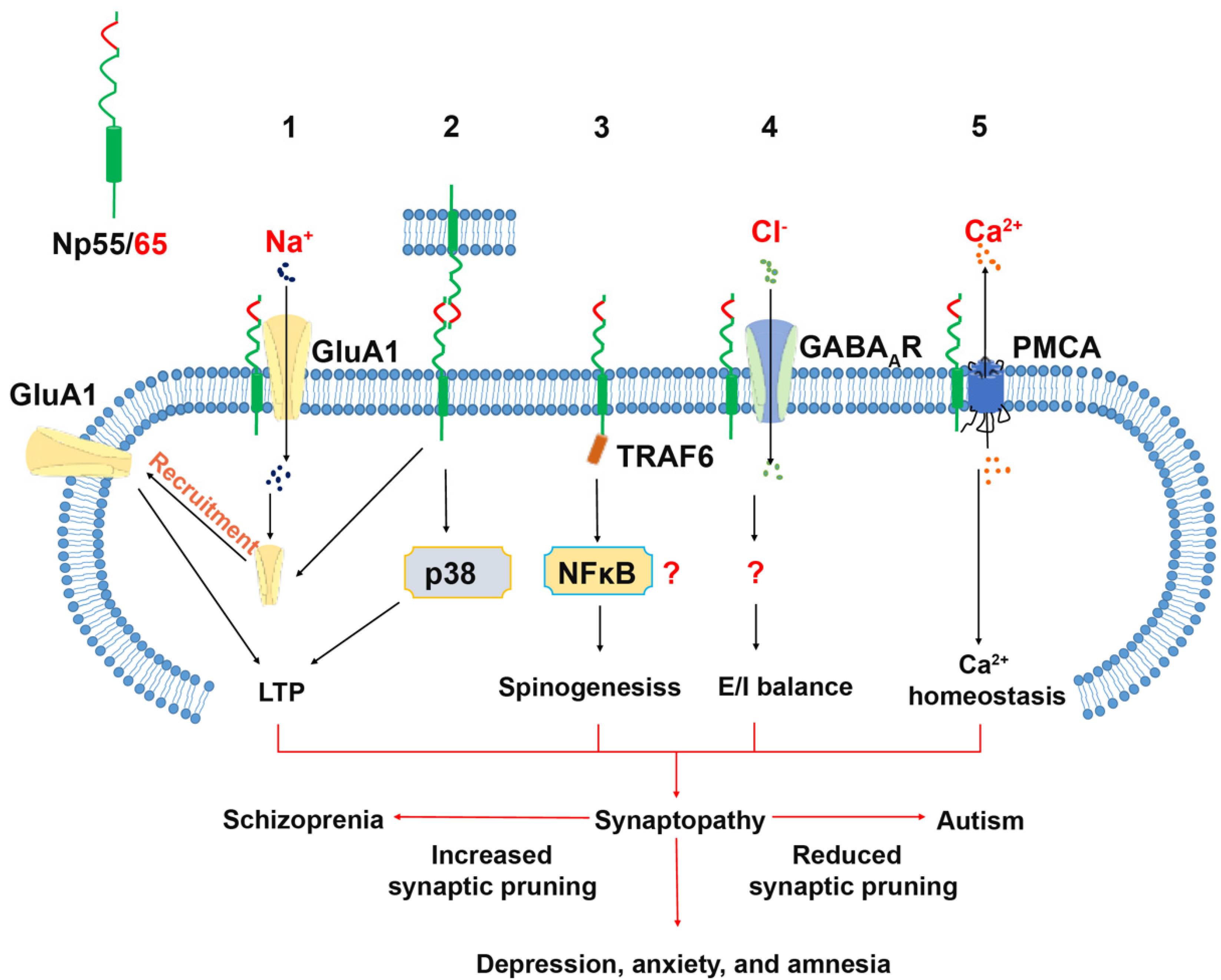 Genes 12 01507 g002