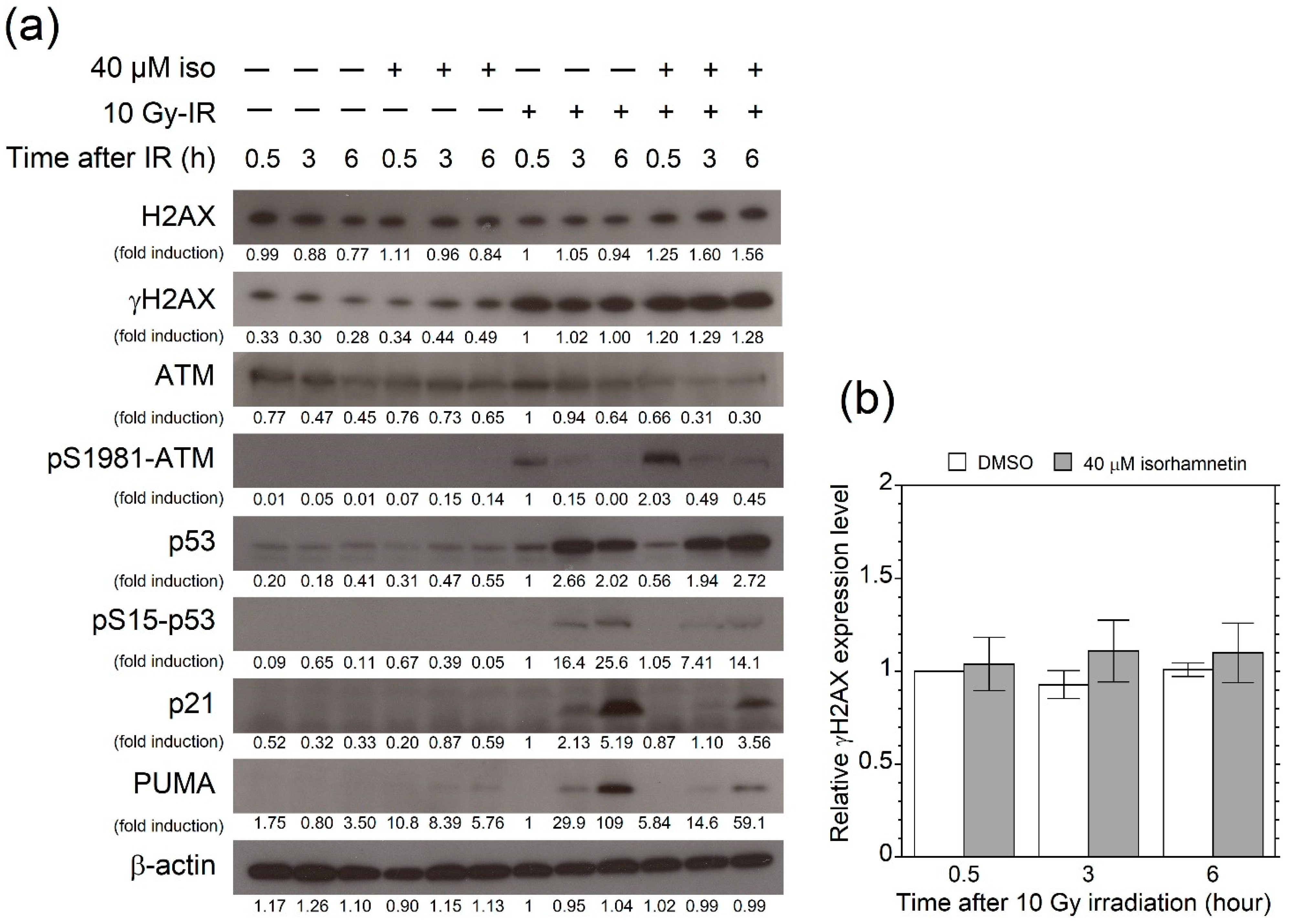 Genes 12 01514 g004 Genes 12 01514 g004
