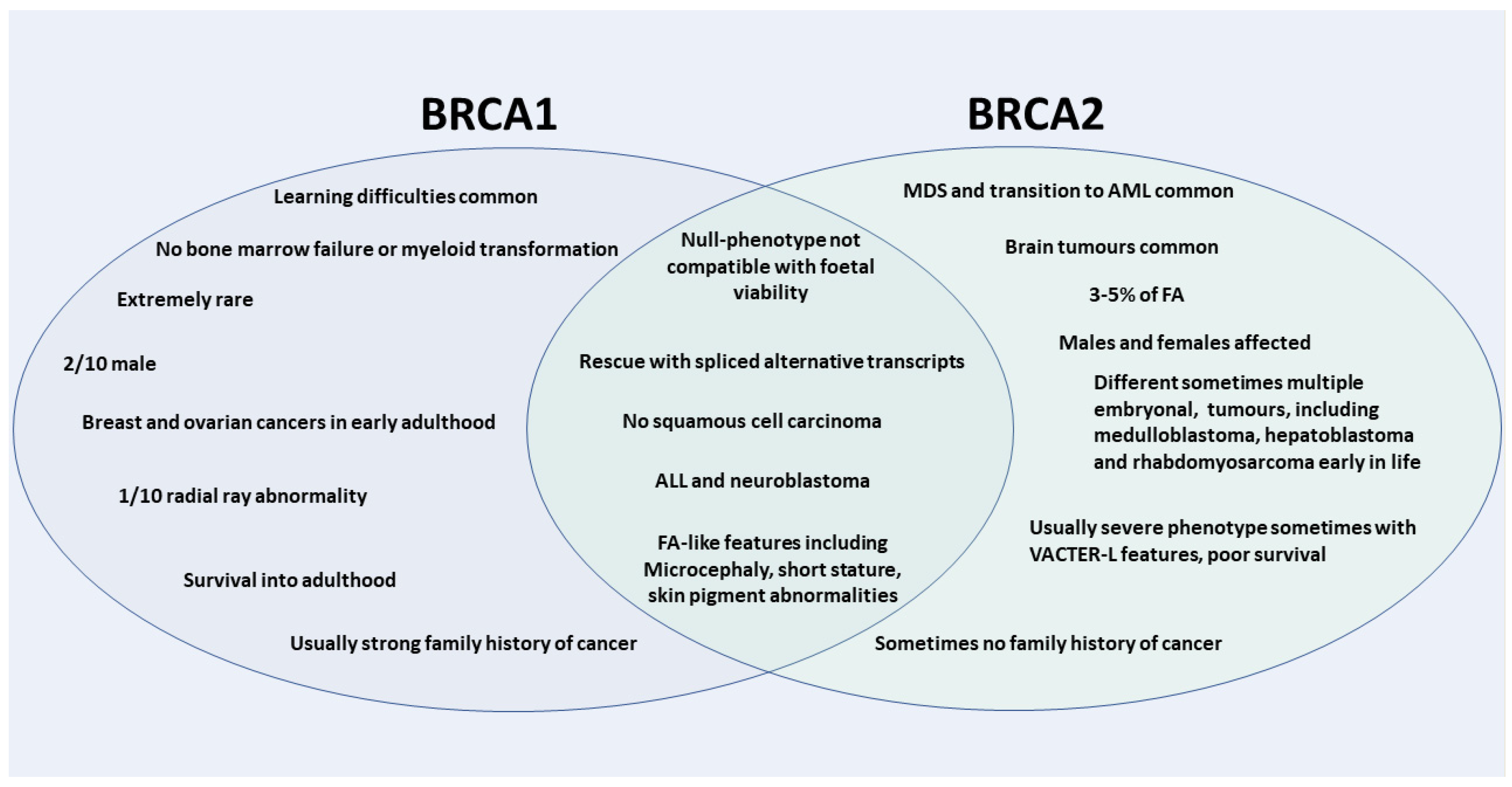 Genes 12 01520 g001 Genes 12 01520 g001