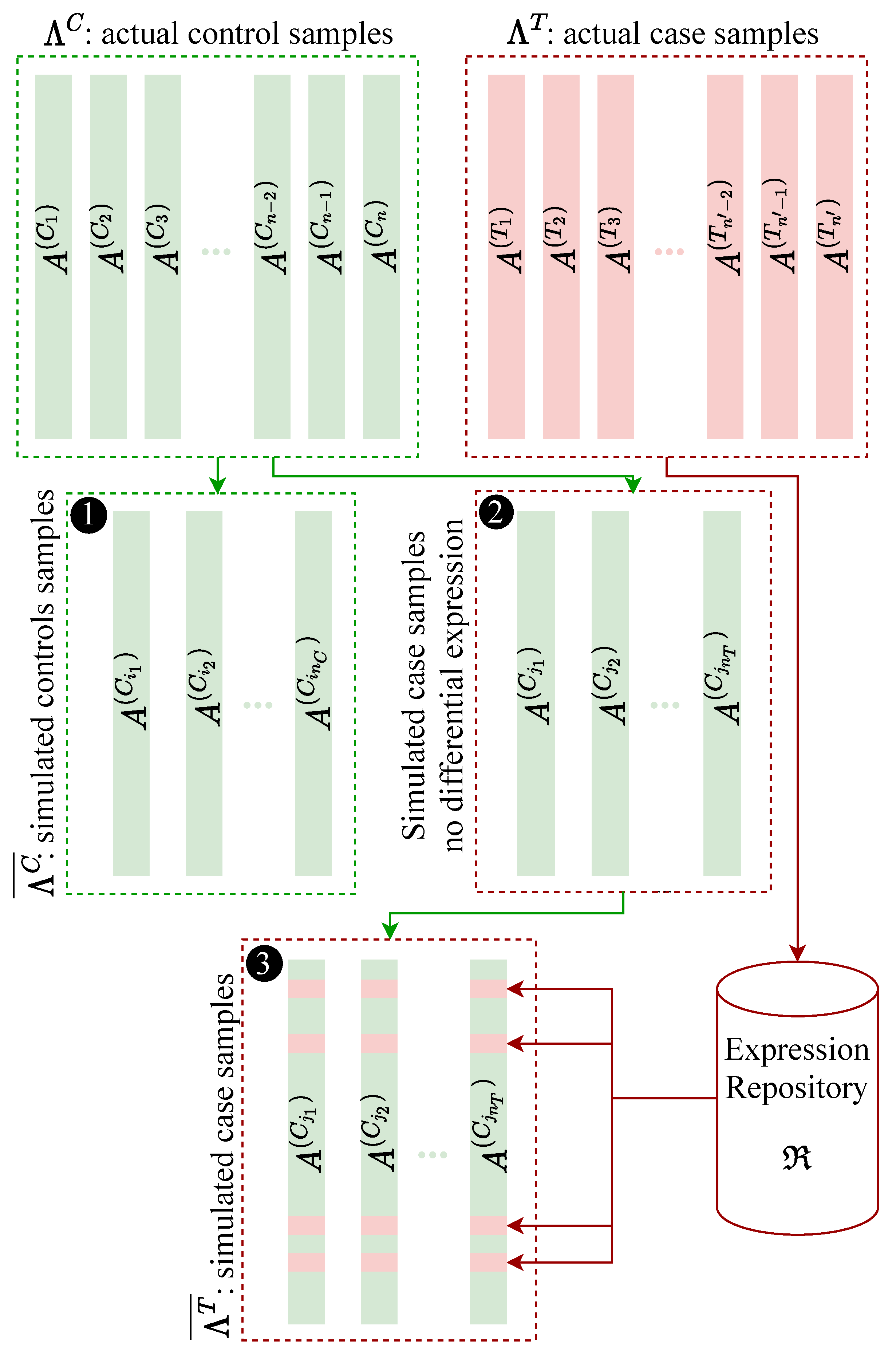 Genes 12 01523 g001 550