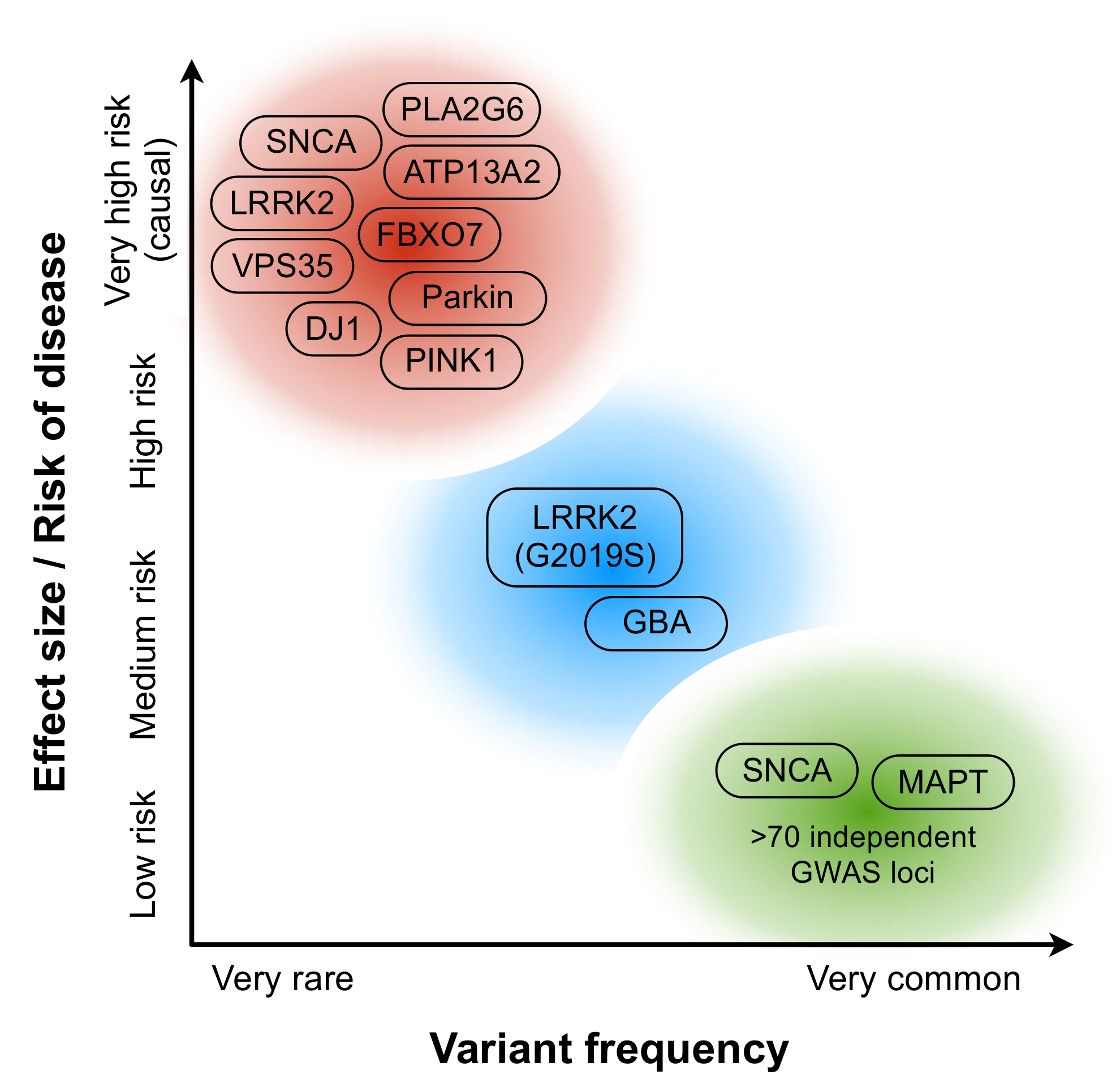 Genes 12 01529 g001 550