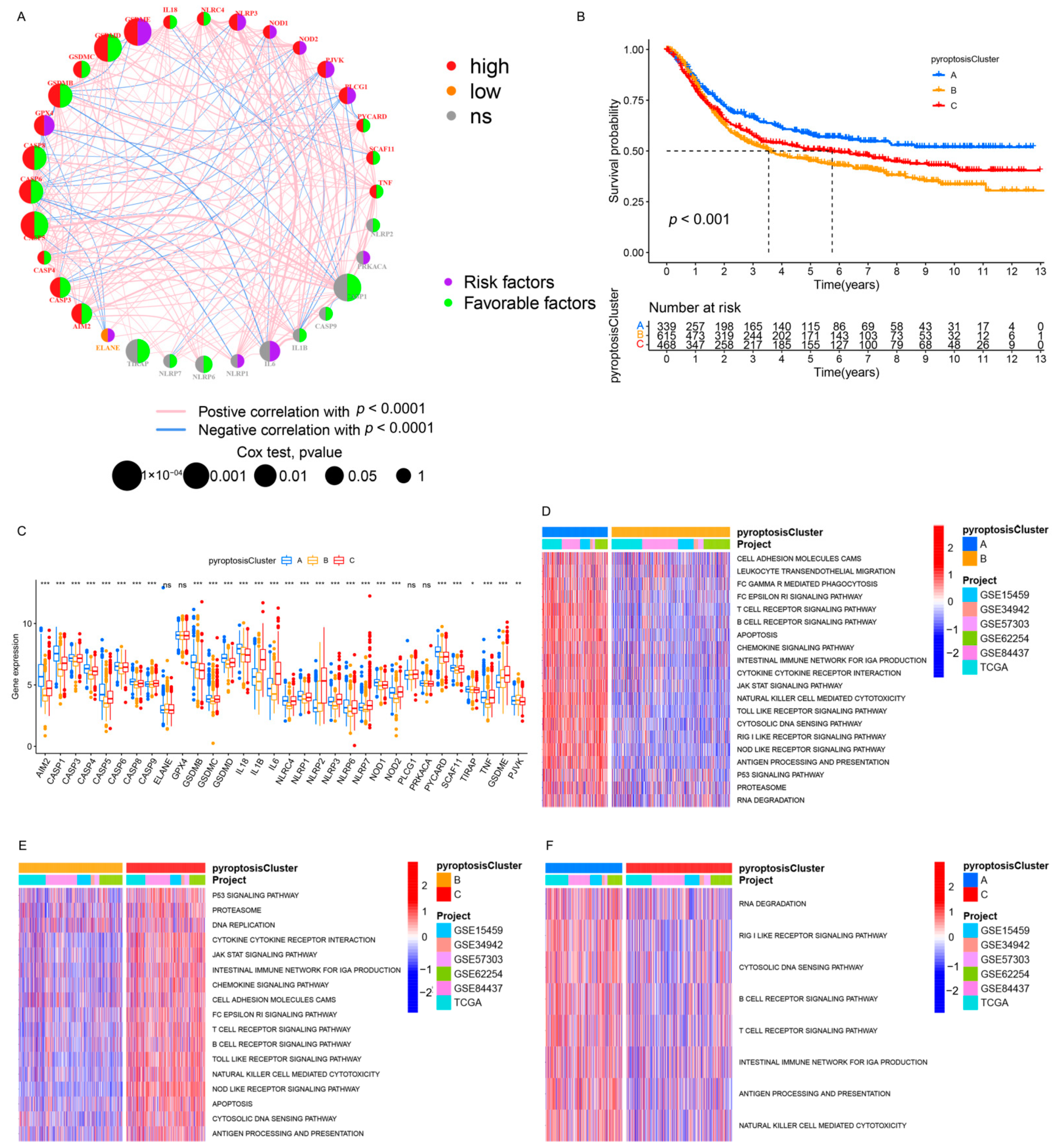 Genes 12 01535 g002