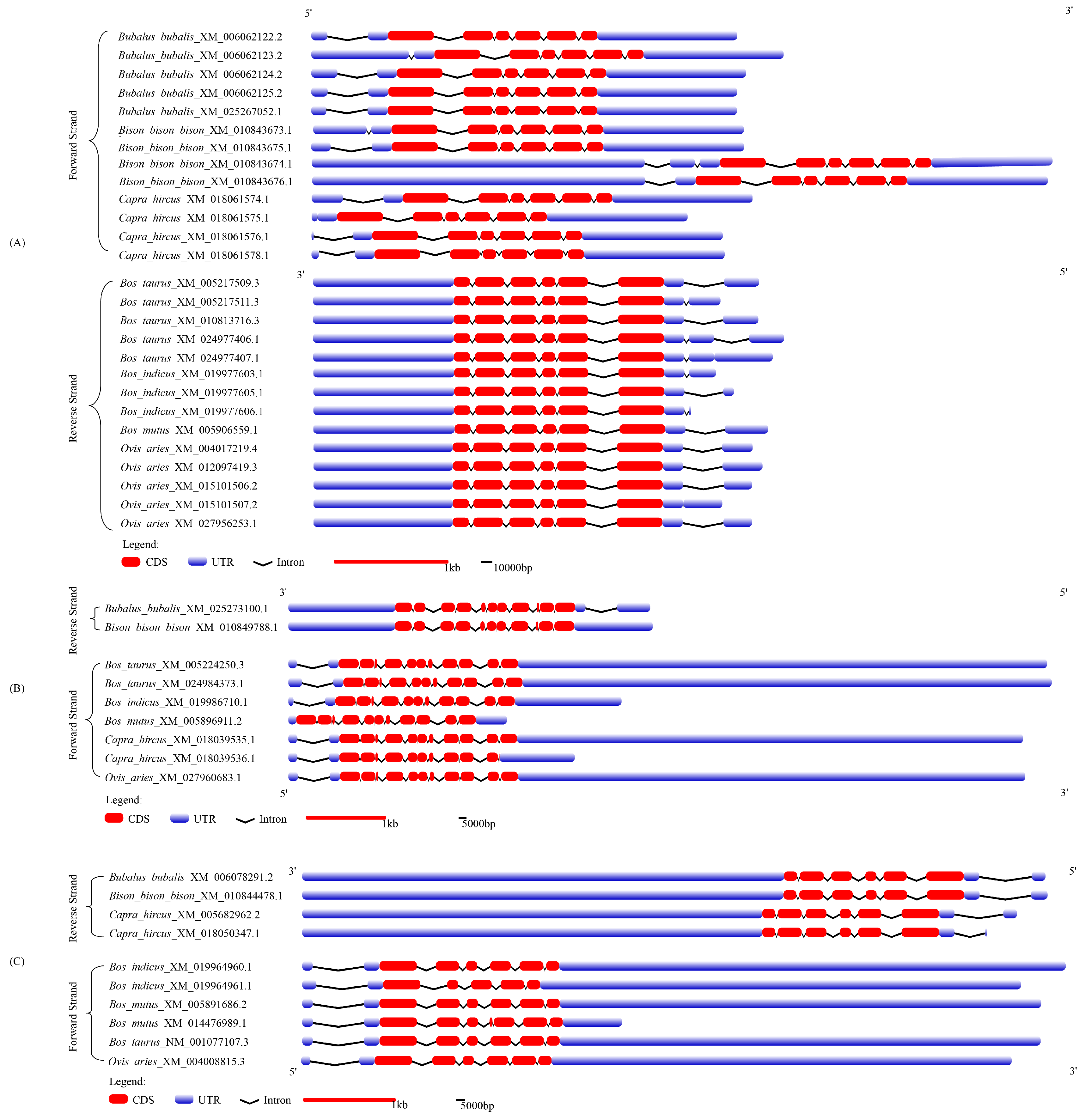 Genes 12 01536 g003 Genes 12 01536 g003