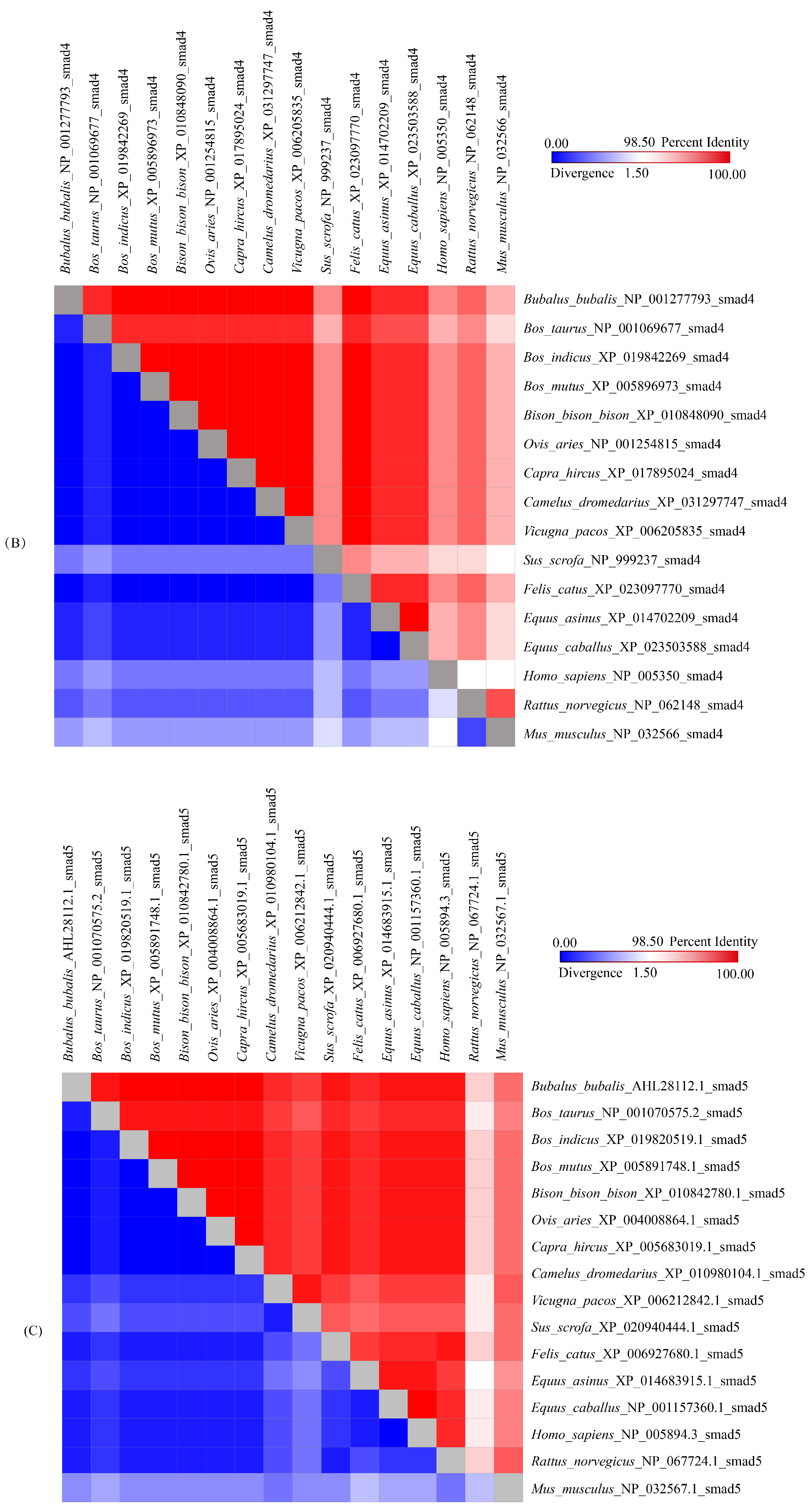 Genes 12 01536 g004b Genes 12 01536 g004b